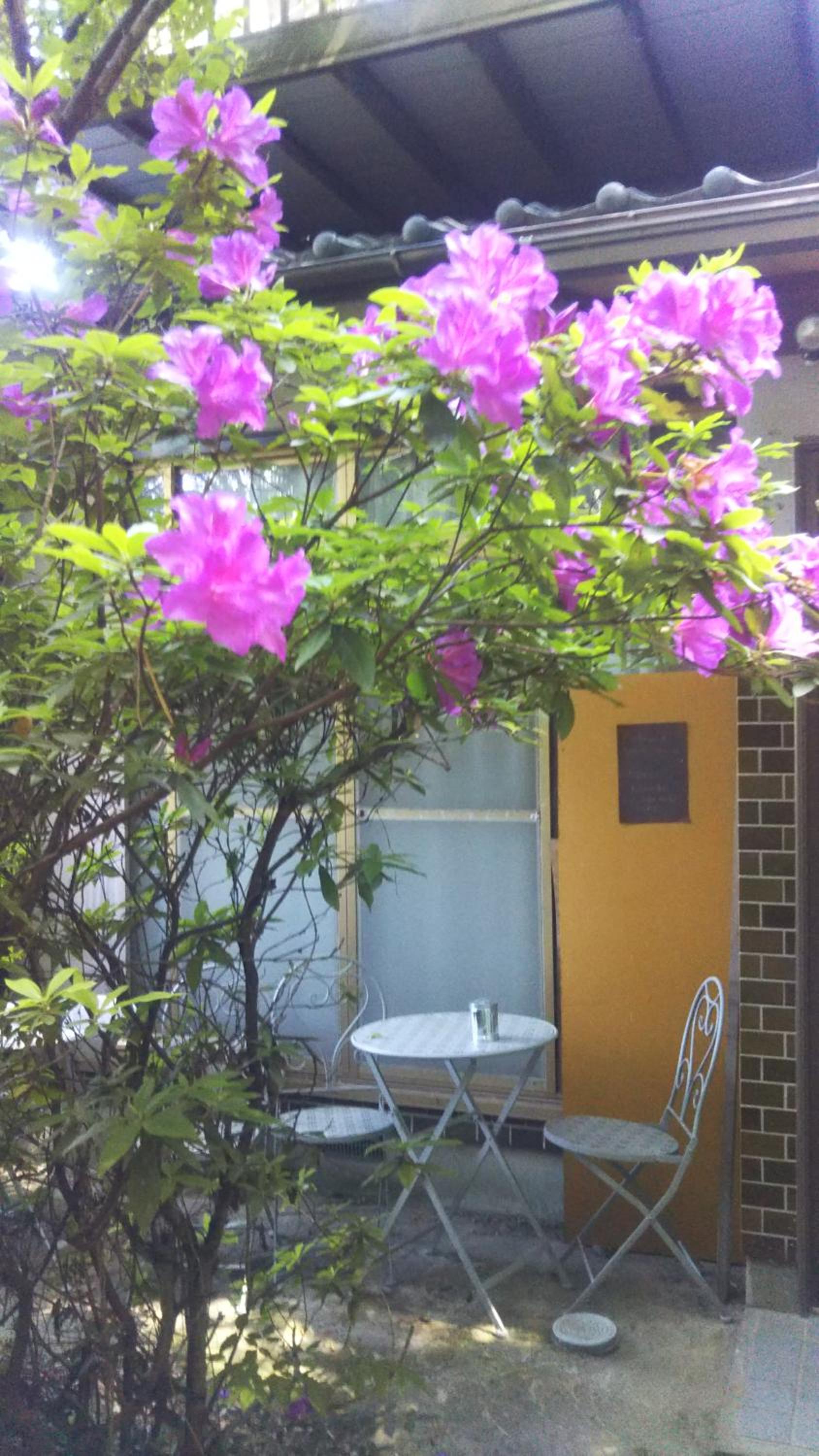 raibrasil guest house