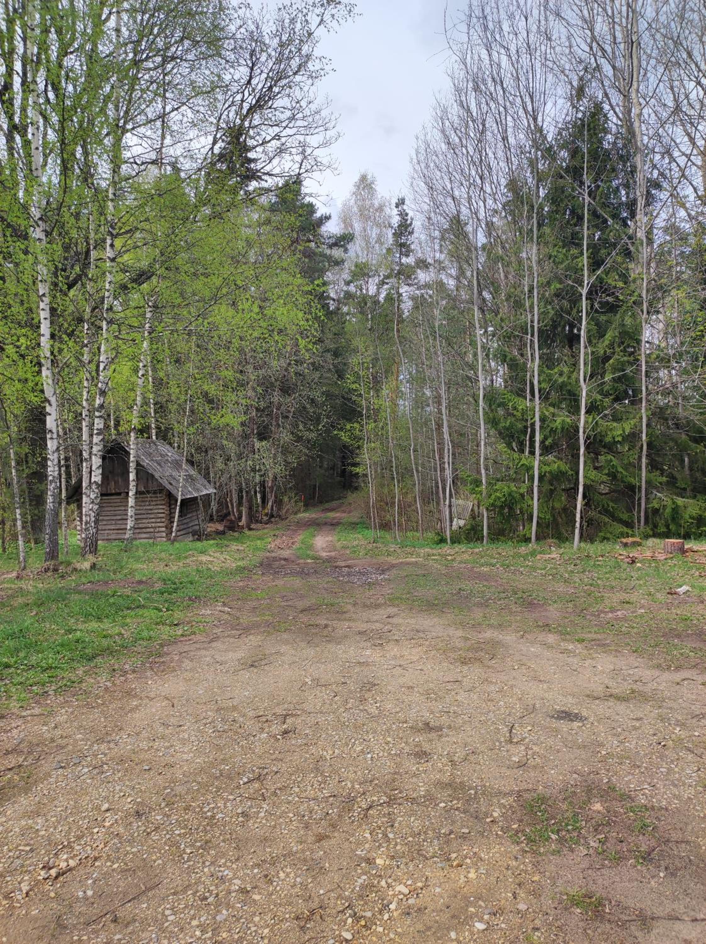 Bluci seksti view 5