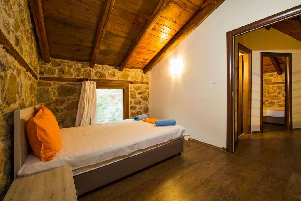 Petrini Spiti