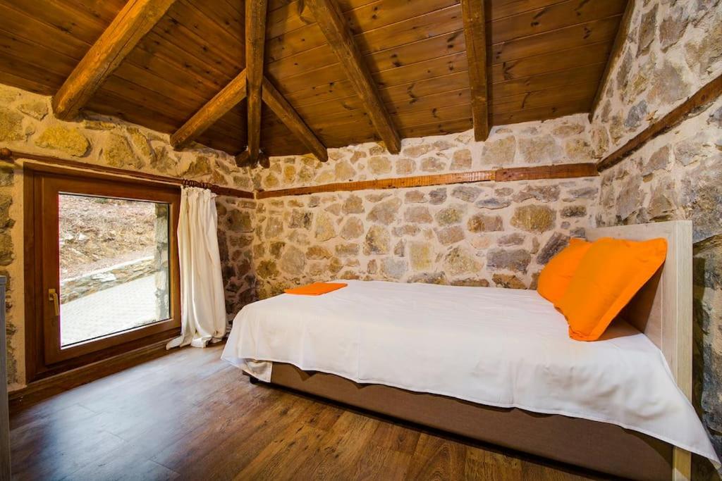 Petrini Spiti