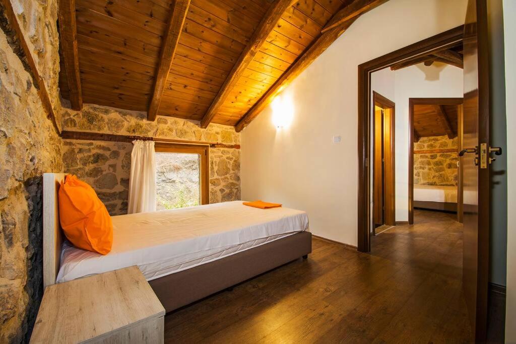 Petrini Spiti