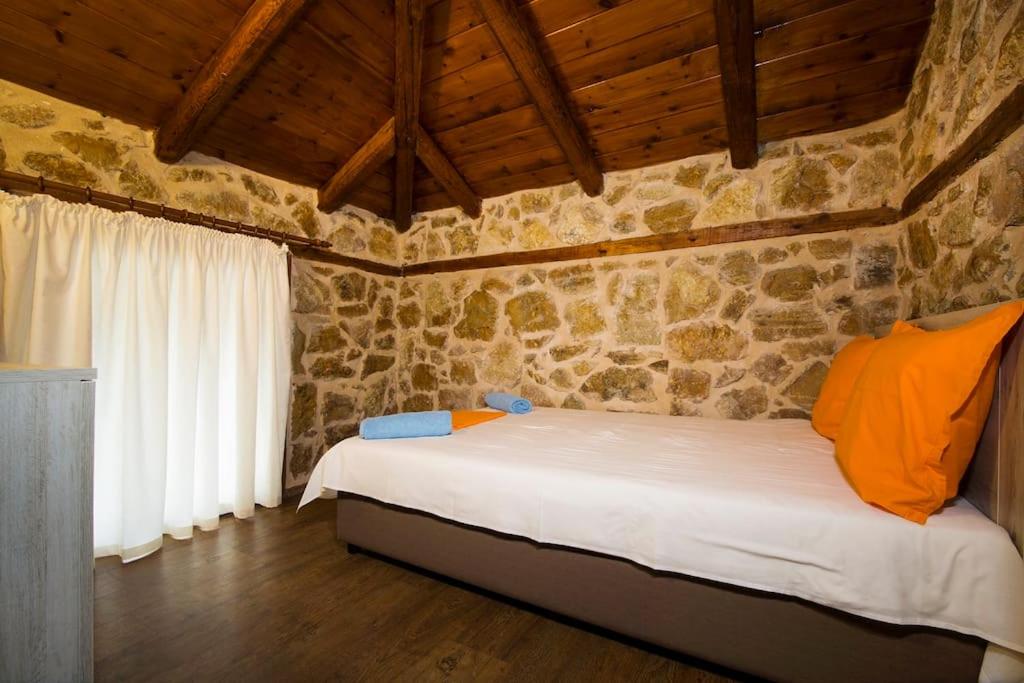 Petrini Spiti