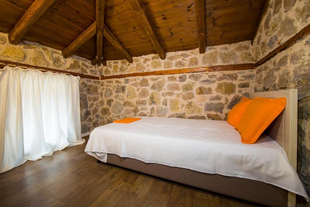 Petrini Spiti