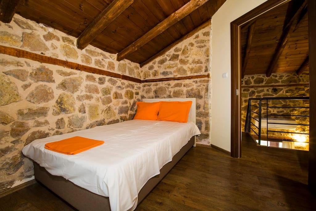 Petrini Spiti