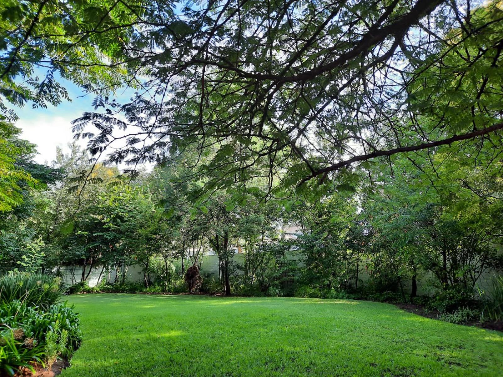 Nel's Cottage, a private and peaceful cottage view 4