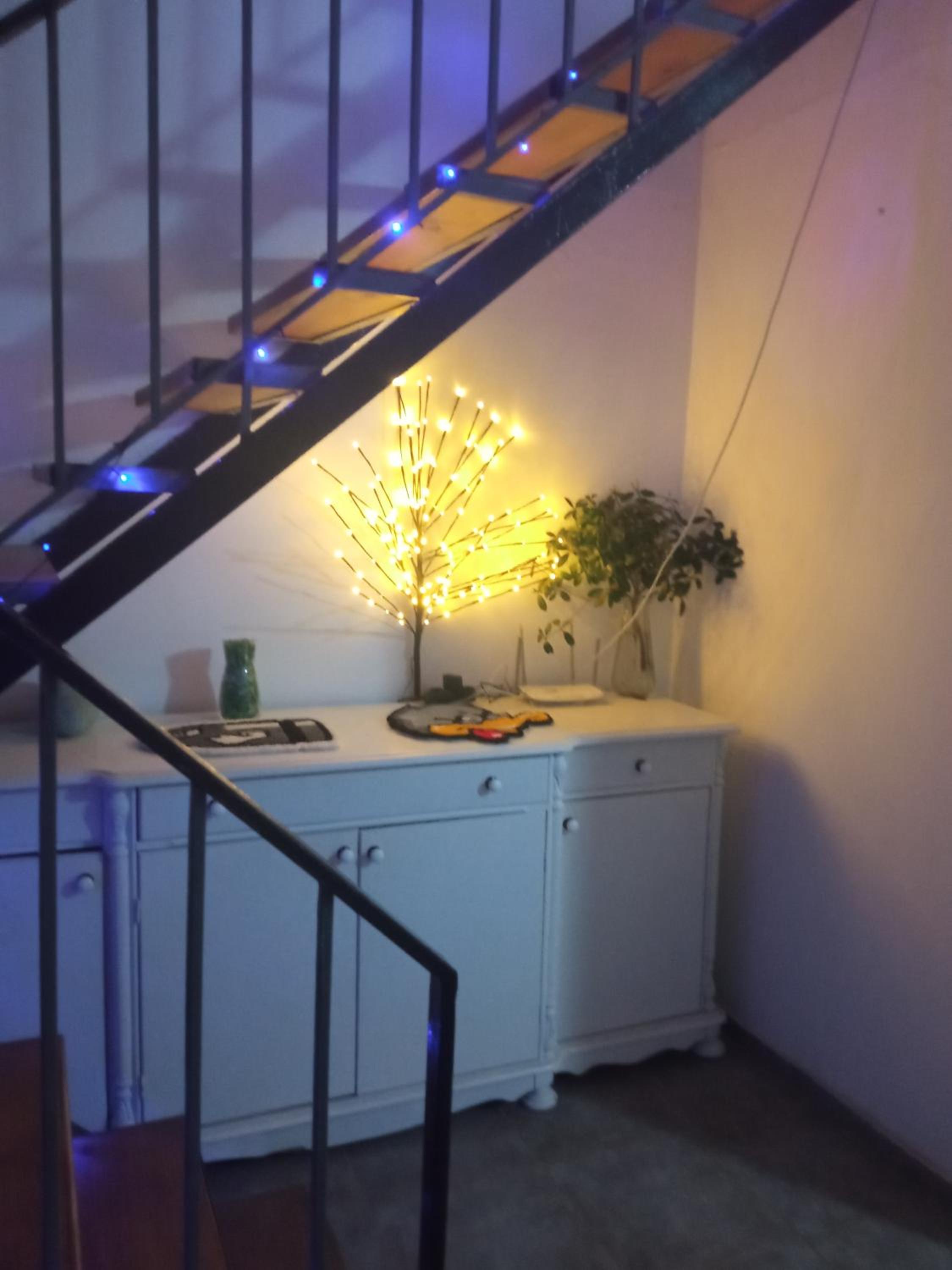 Guest house Junona