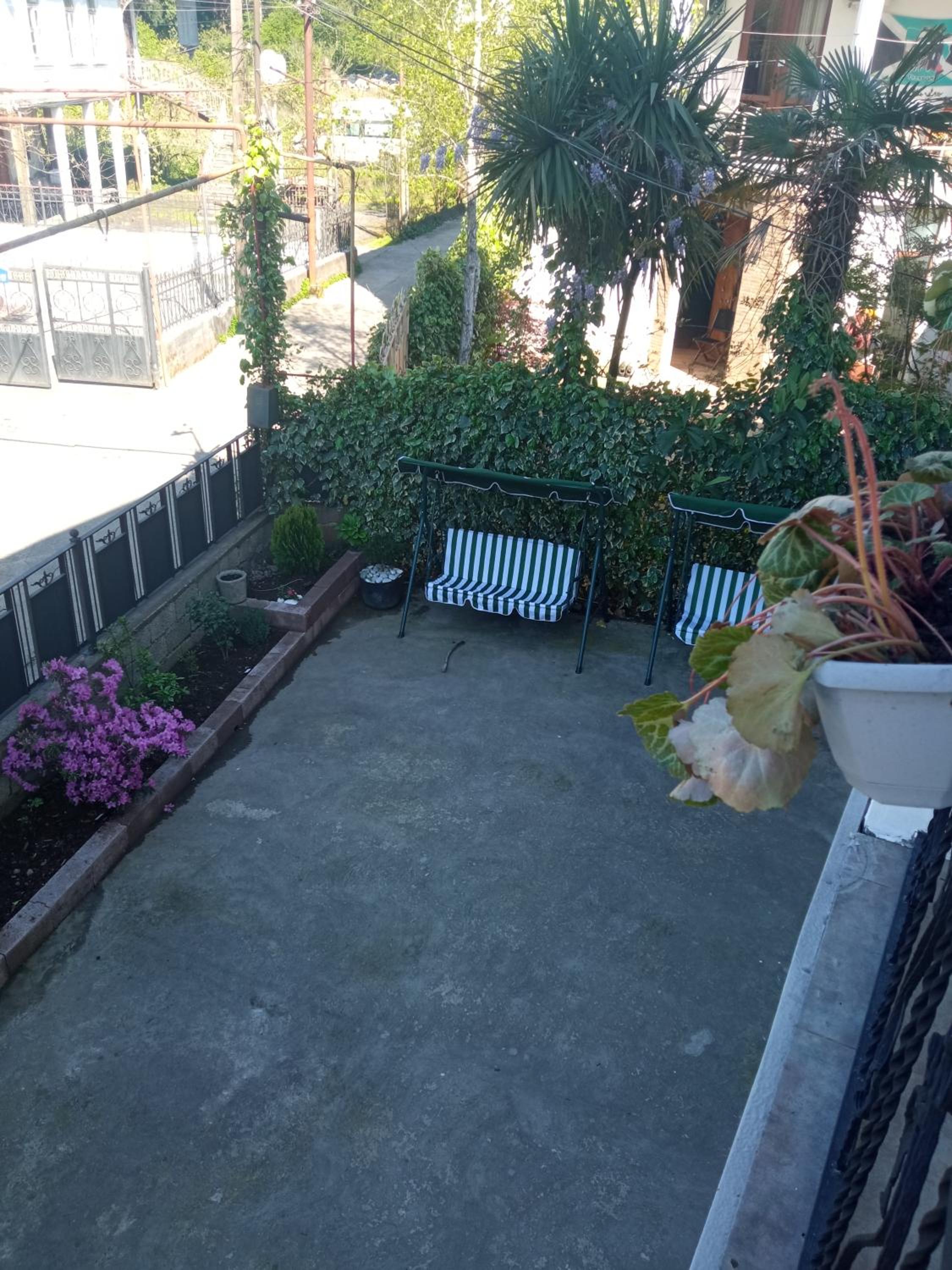 Guest house Junona