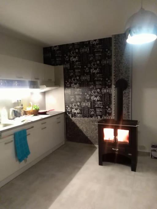 Apartmán s terasou a výhledem na jezero Lipno
