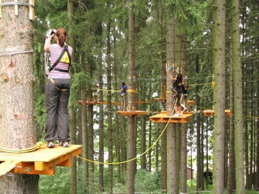 Apartmán s terasou a výhledem na jezero Lipno