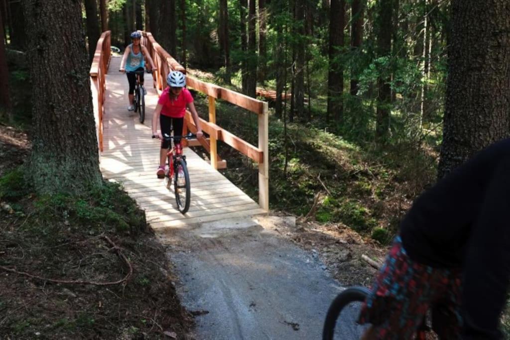Apartmán s terasou a výhledem na jezero Lipno