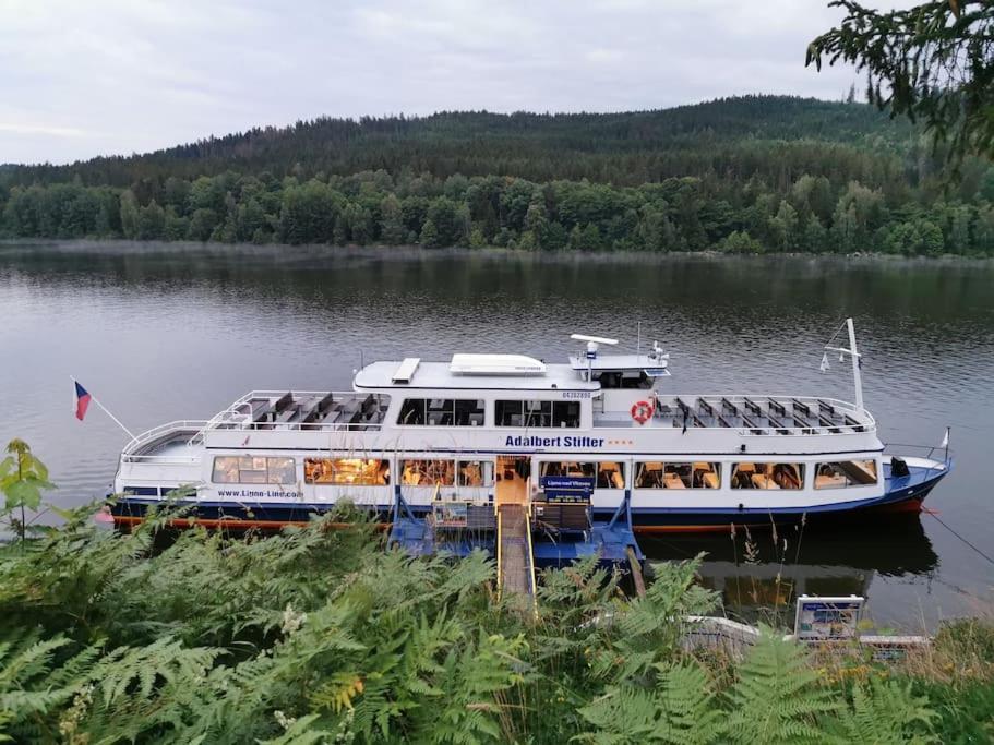 Apartmán s terasou a výhledem na jezero Lipno