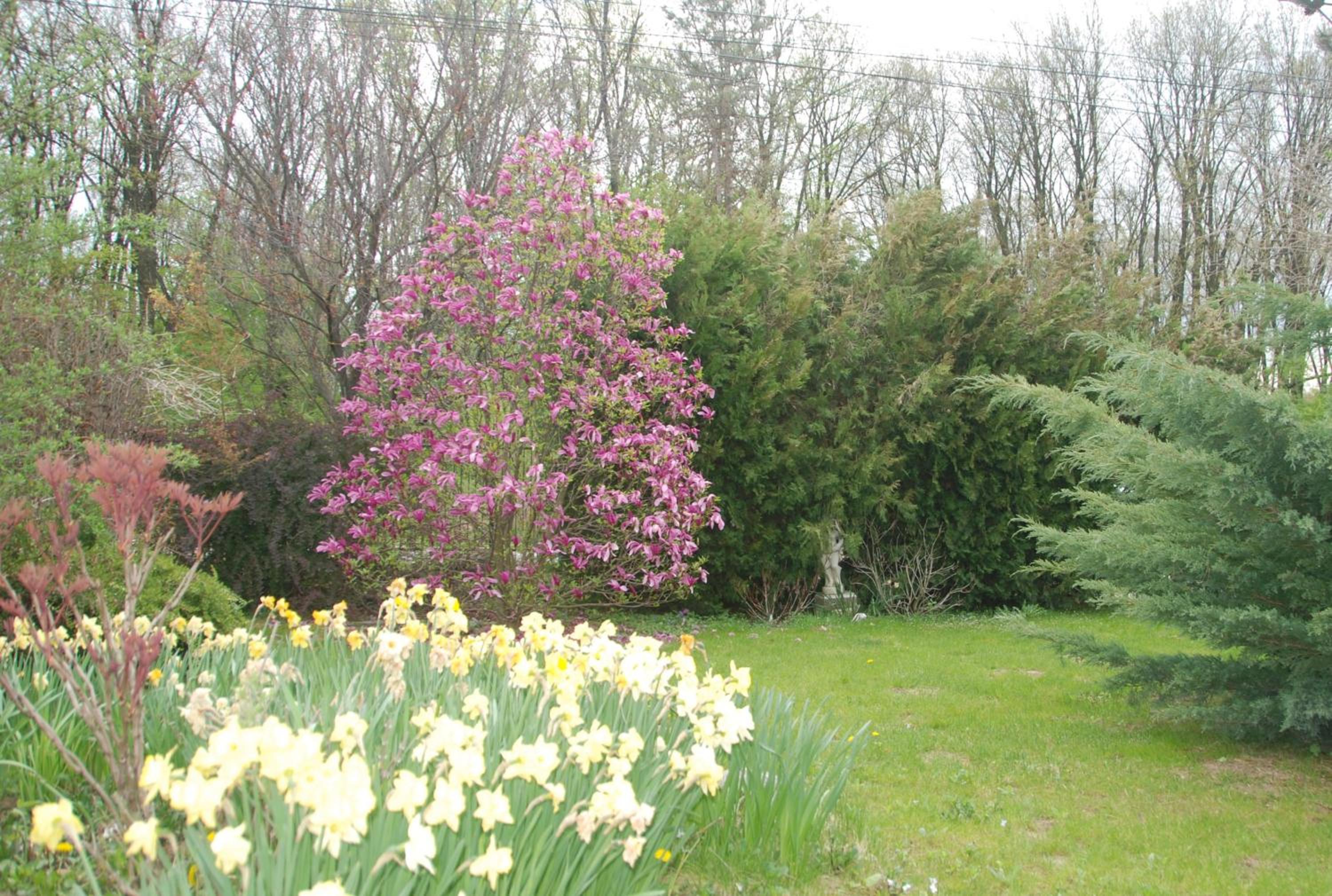 Photo 27
