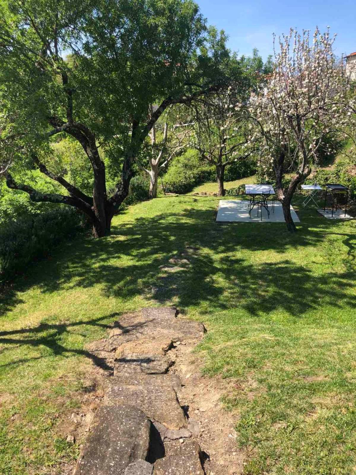 Photo 34