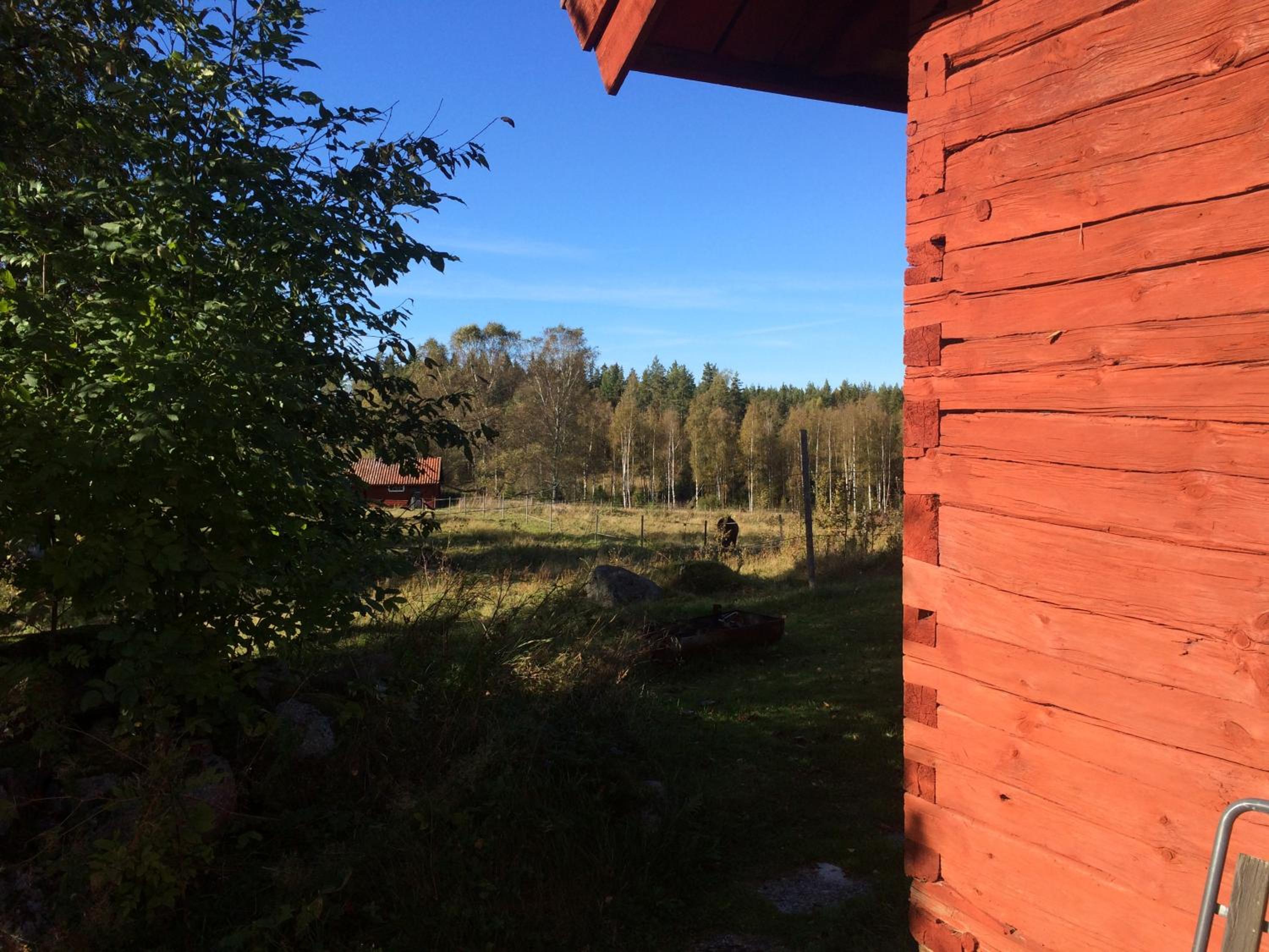 STF Tivedstorp