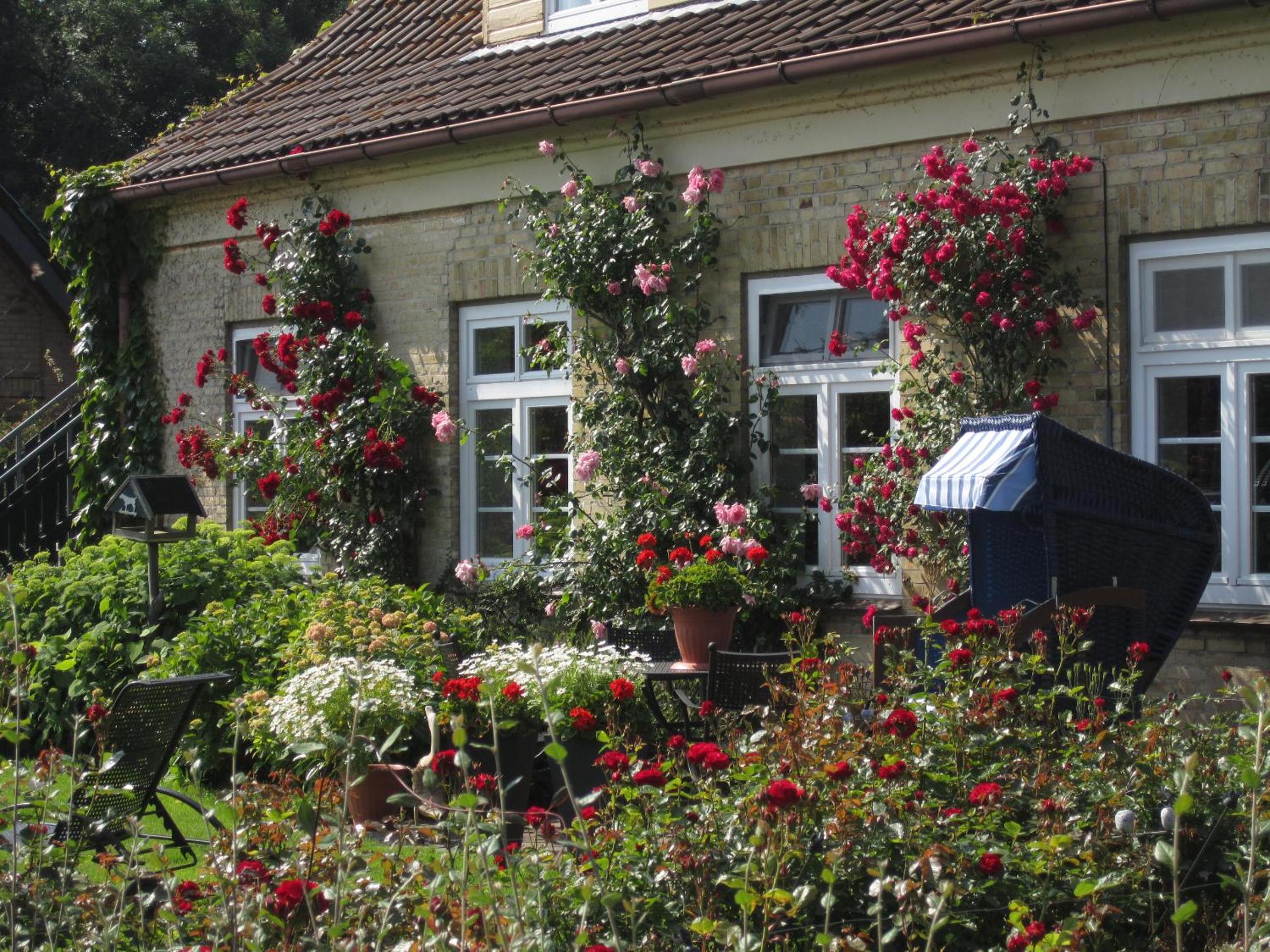 Ferienbauernhof Liesenberg Obstwiesenhaus Kischbaum