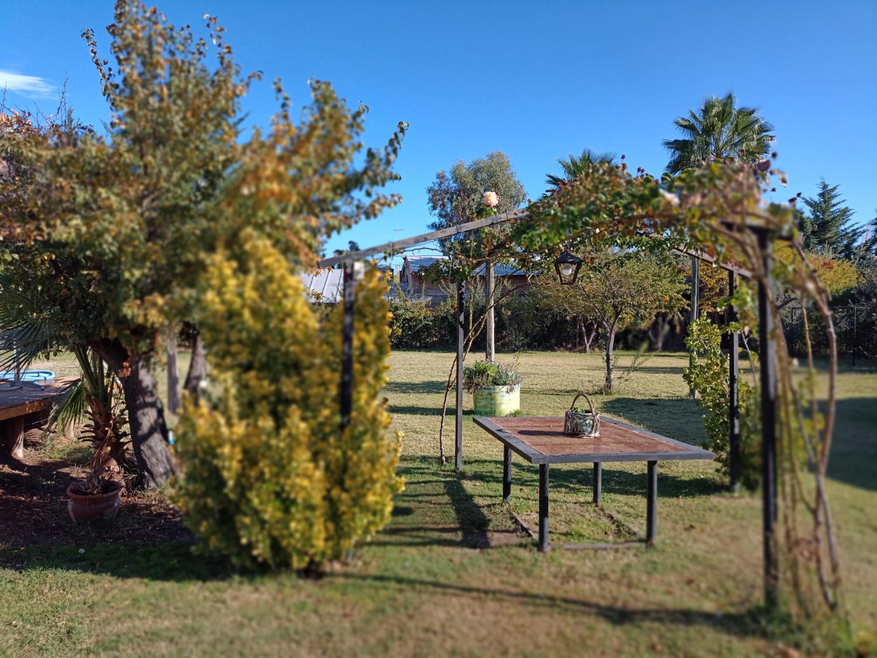Quinta Los Olivos