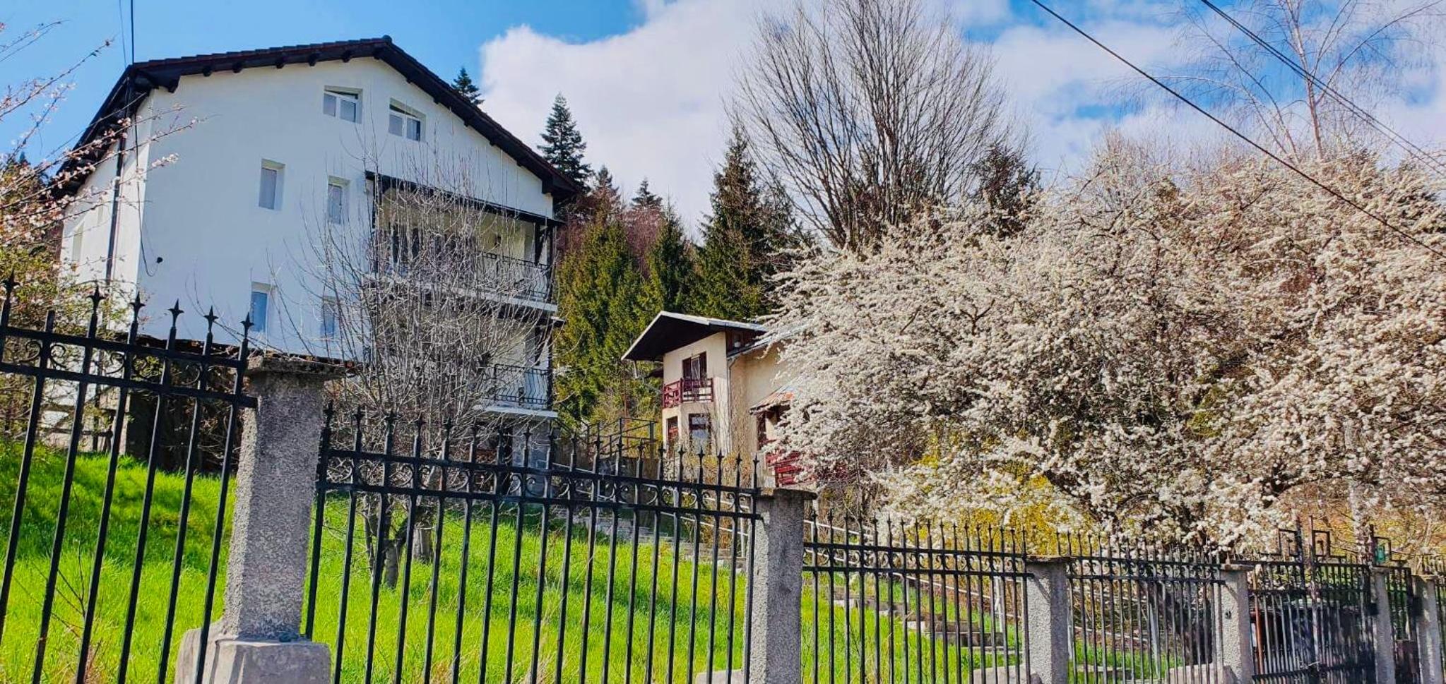 Iepurasul Sinaia