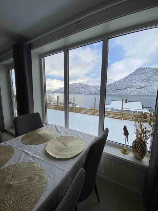 Fjordgård Mountain Aurora View