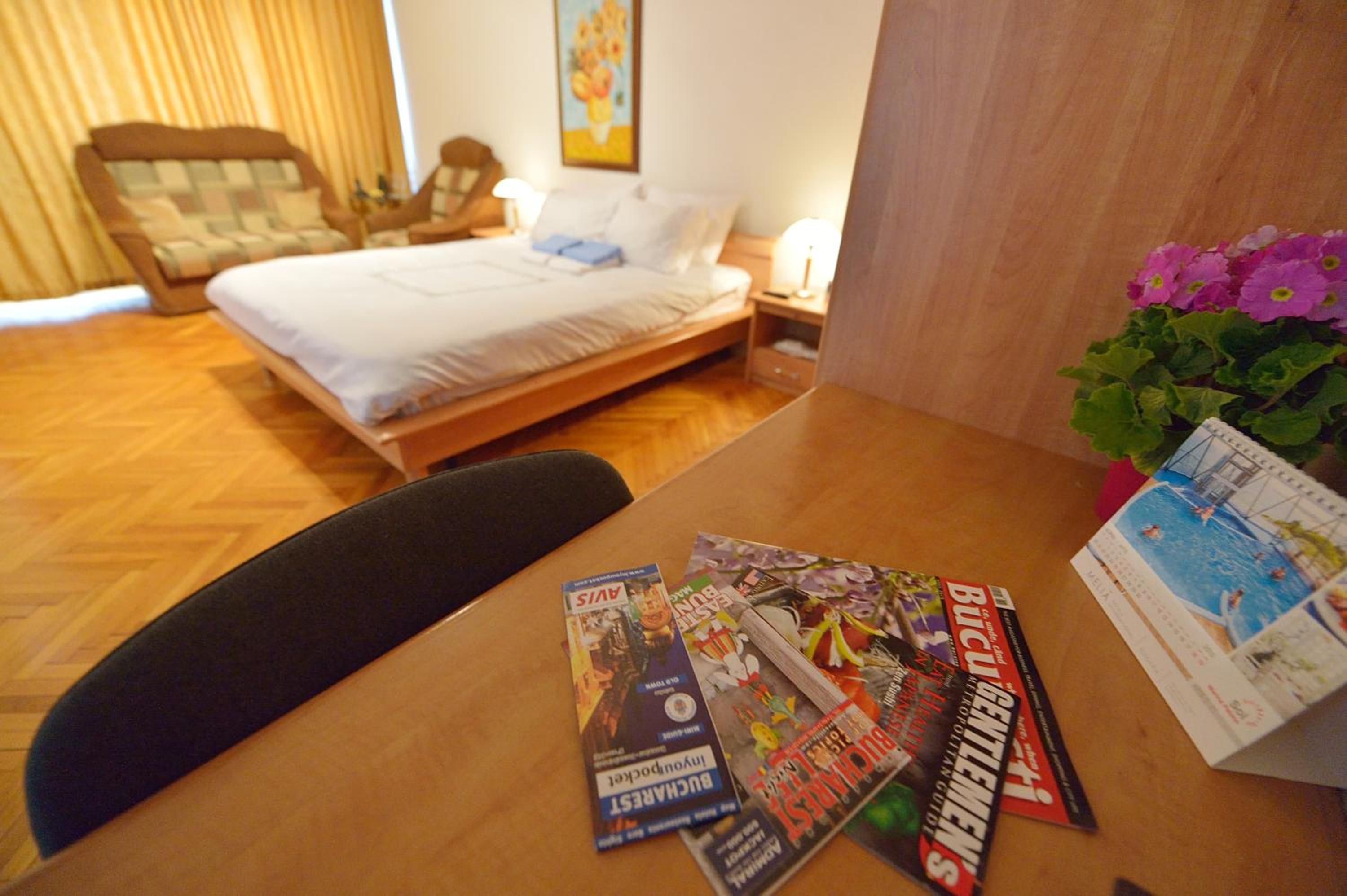 Atlas Accommodation Studio Romana de Lux view 2