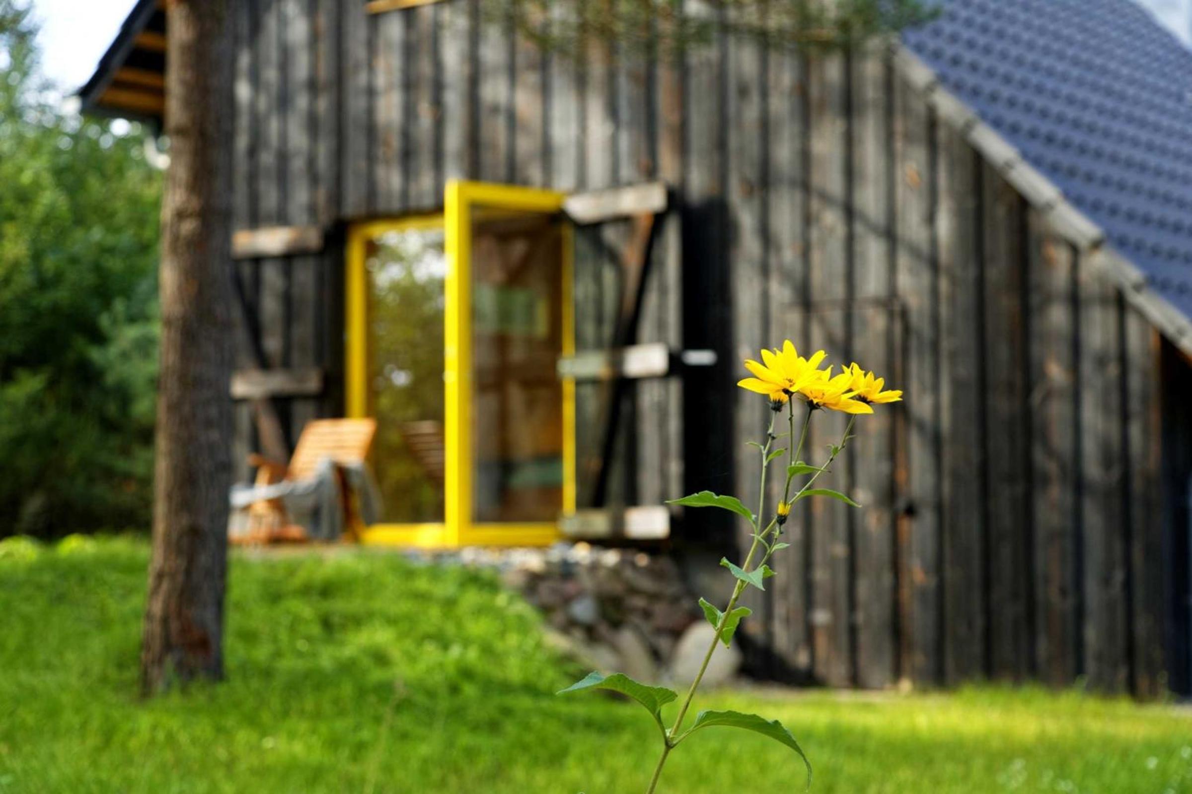 Ferienhaus Tramontana