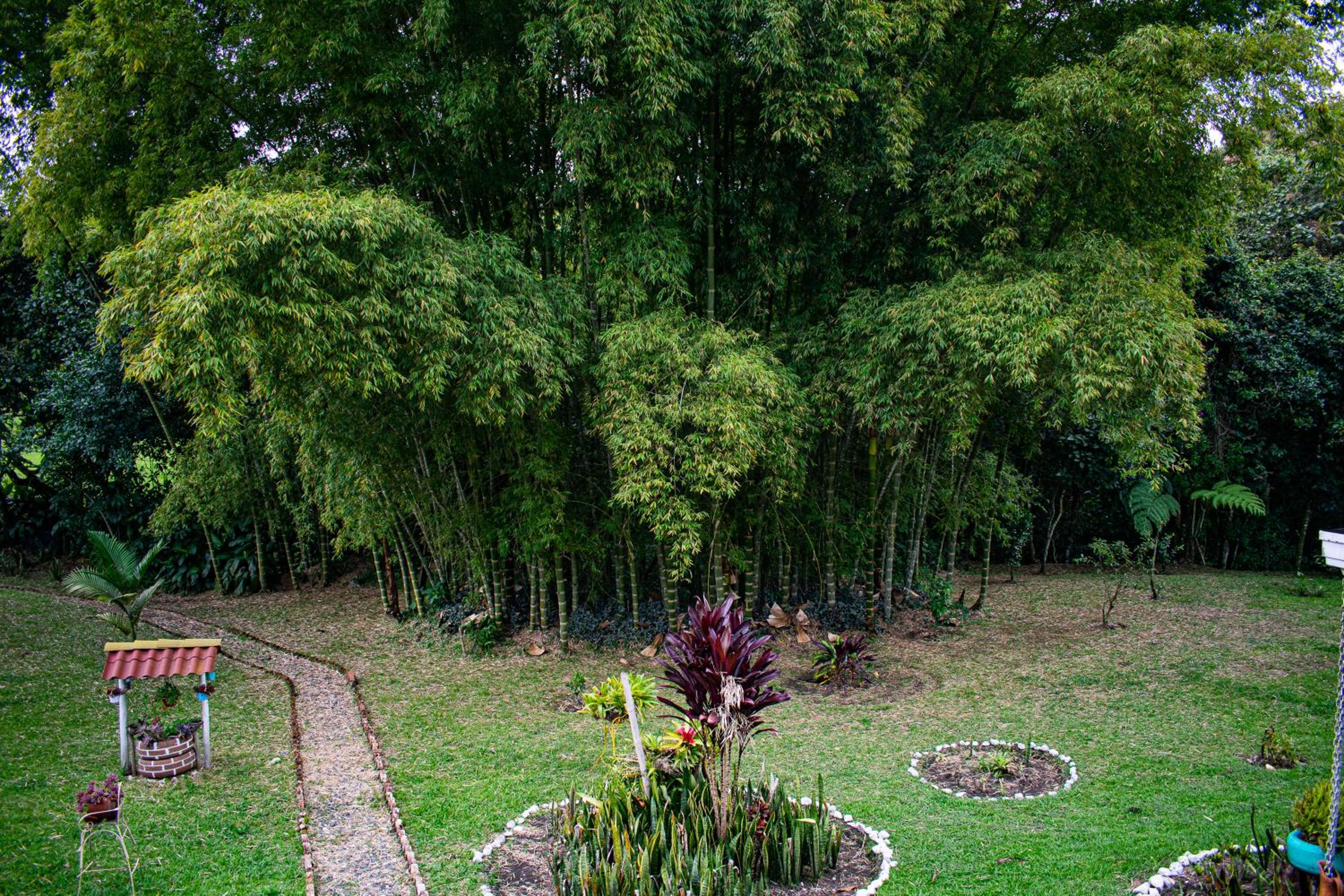 Casa Finca Villa Cristal