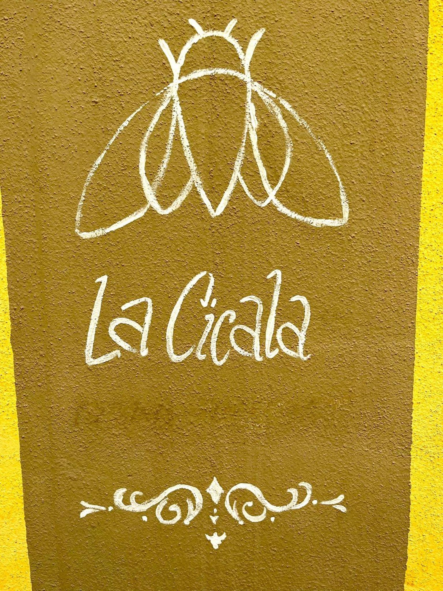 La cicala view 5