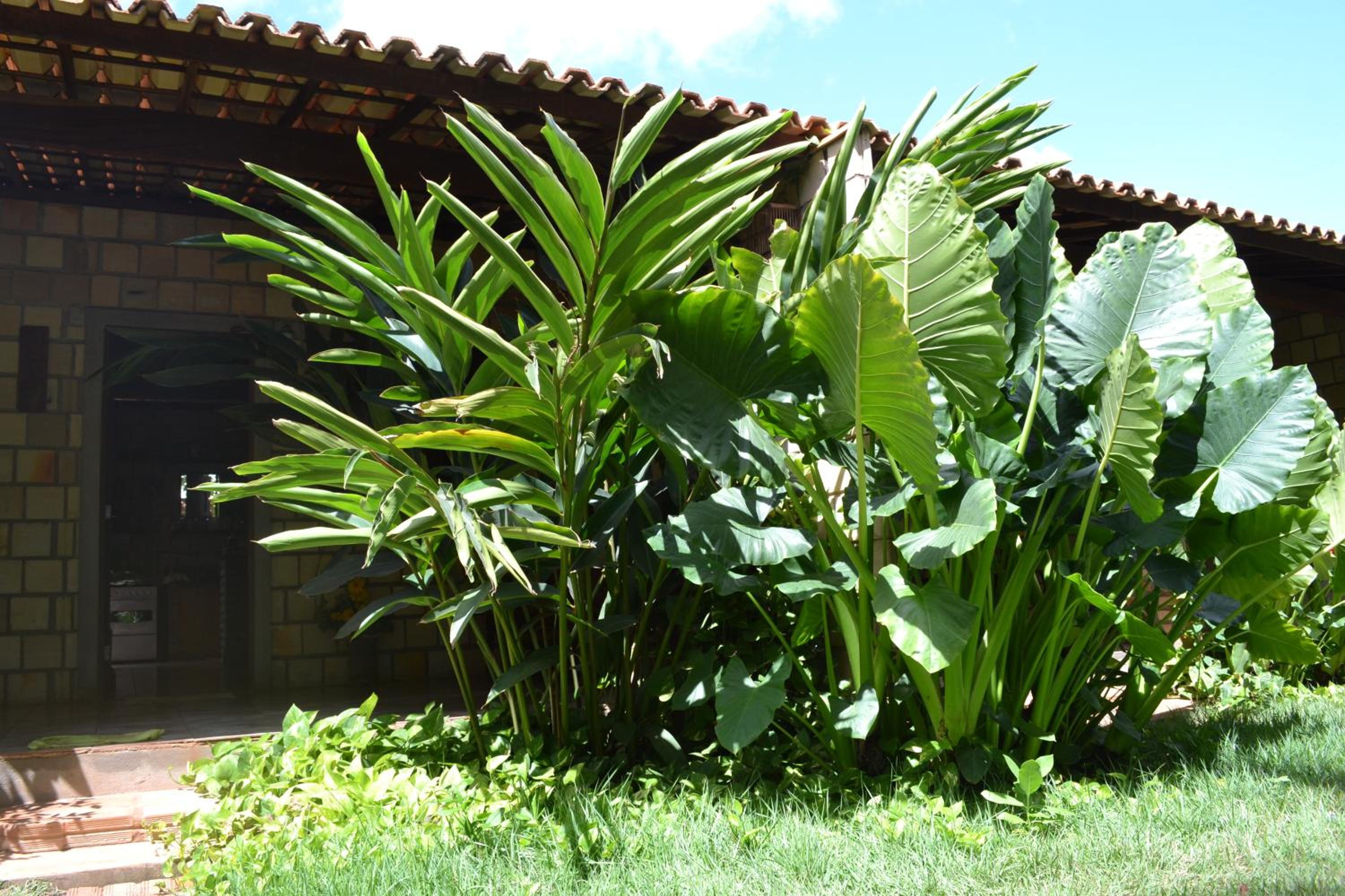 Recanto do Rei Chalés