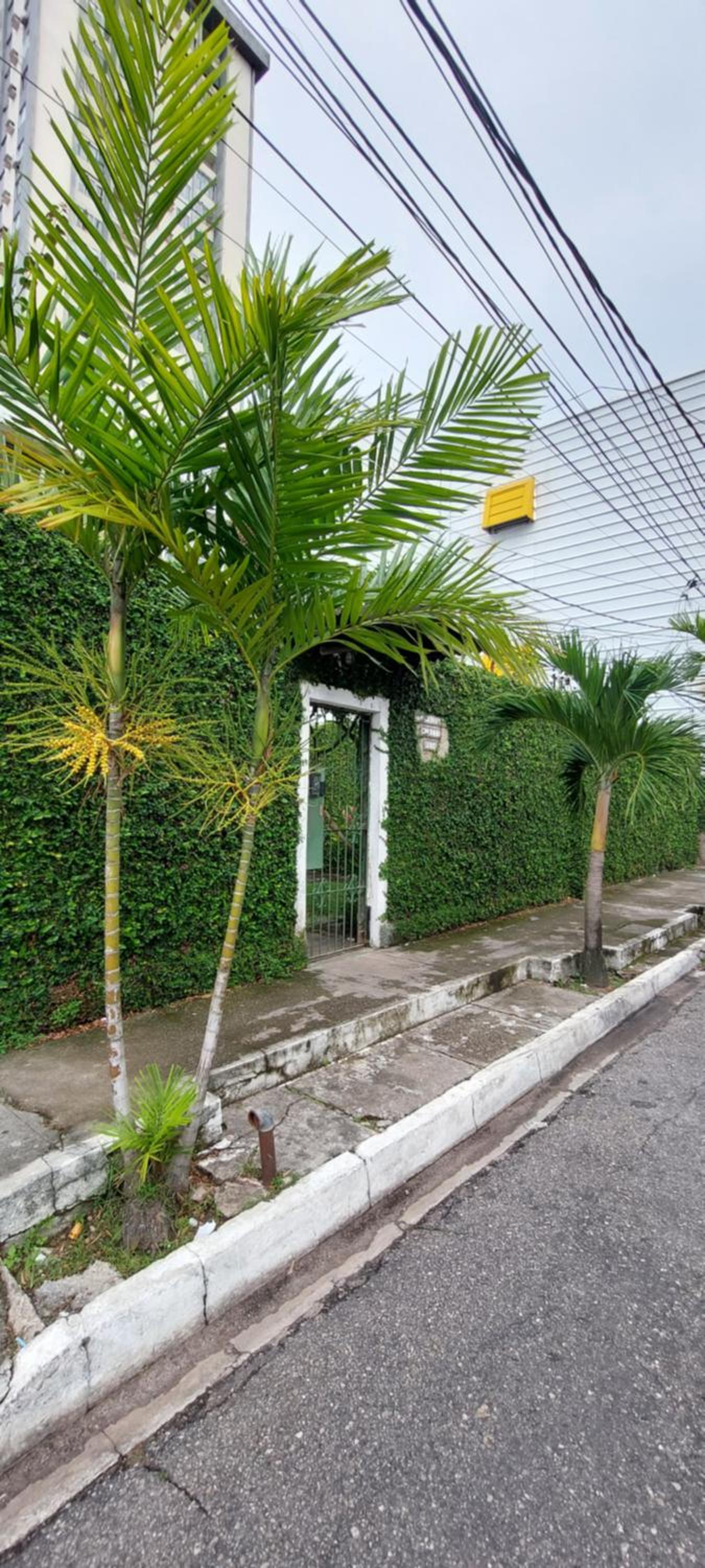 Photo 33