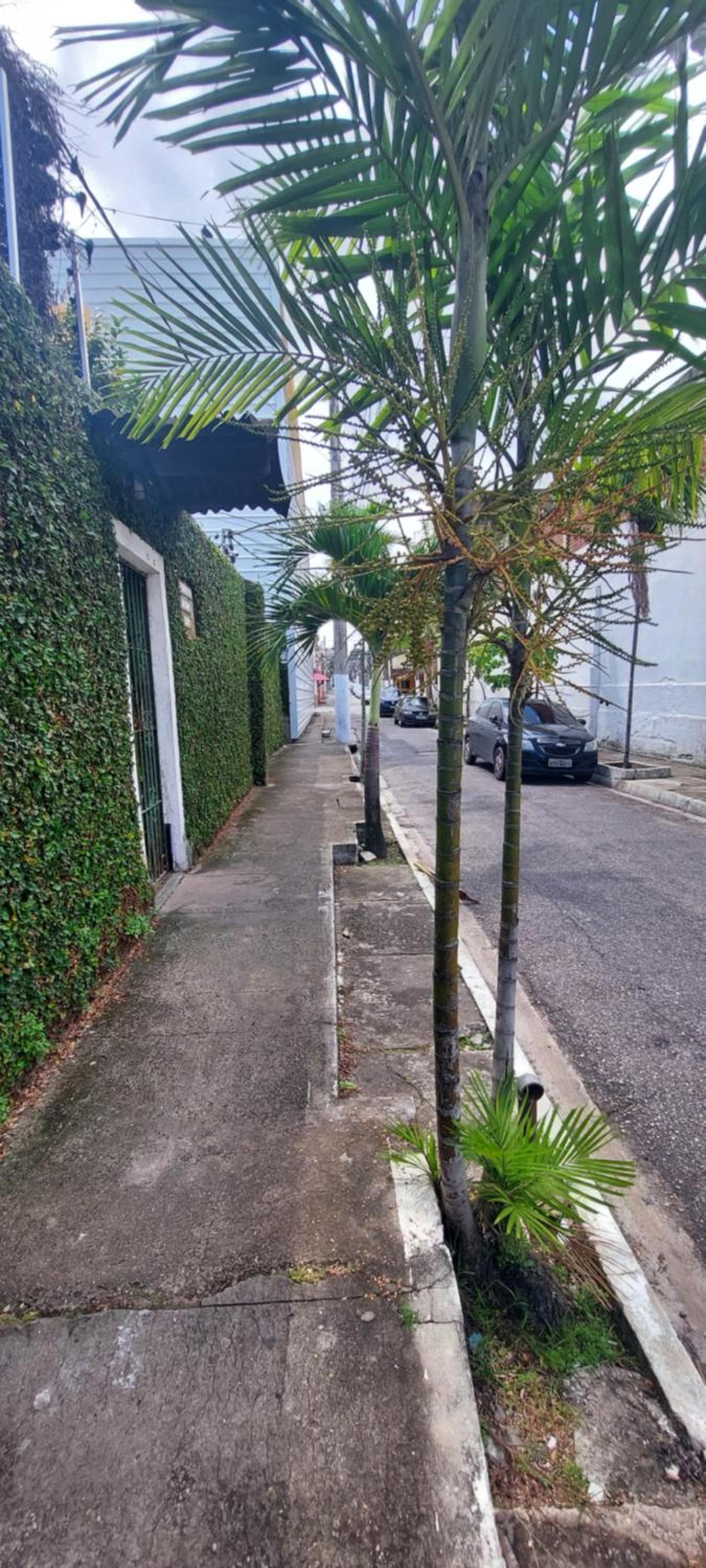 Photo 30
