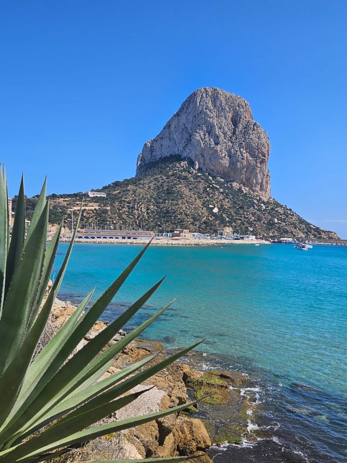 Espectacular Bajo Lirio
