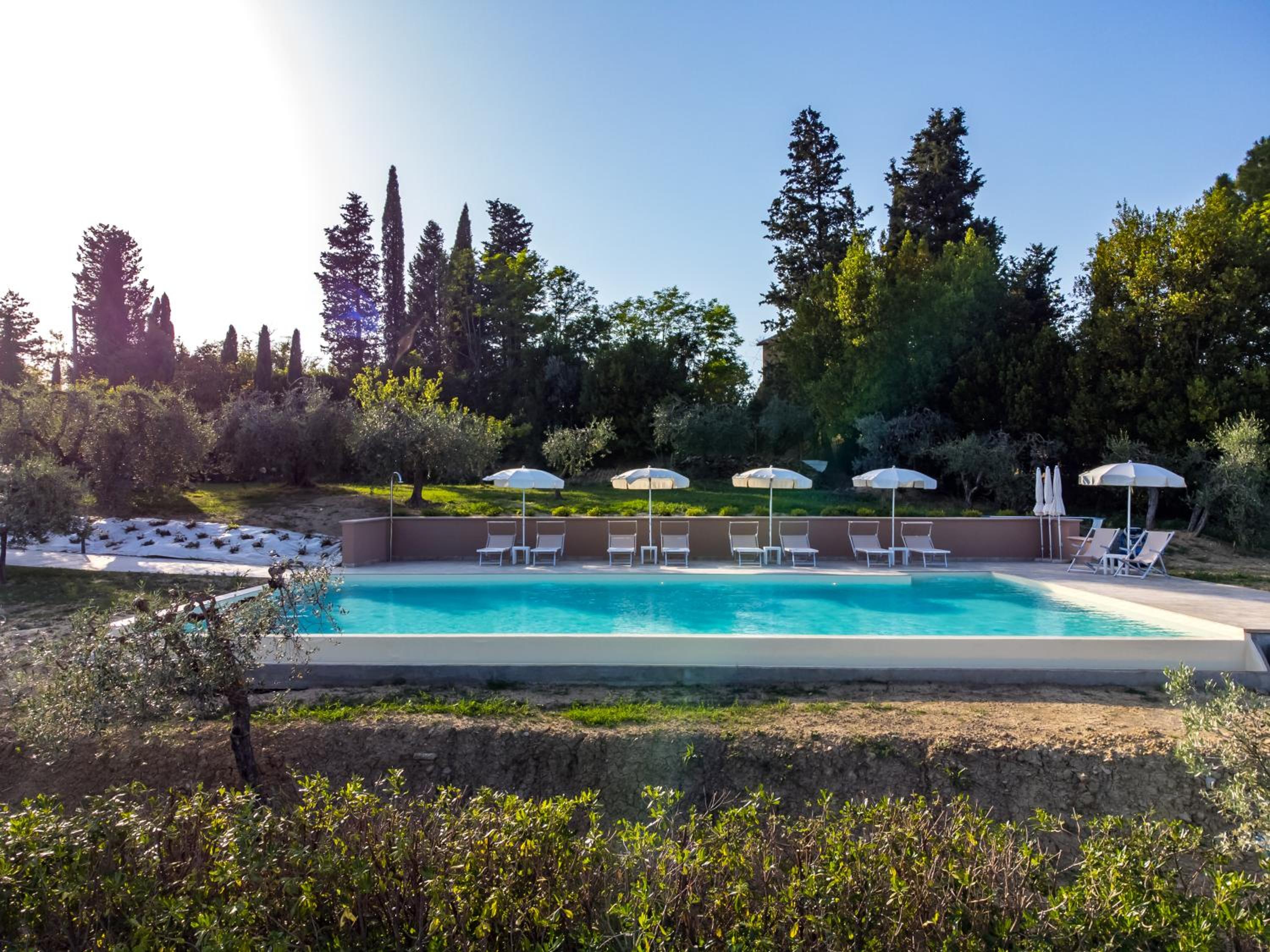 Agriturismo La Collina degli Olivi view 5
