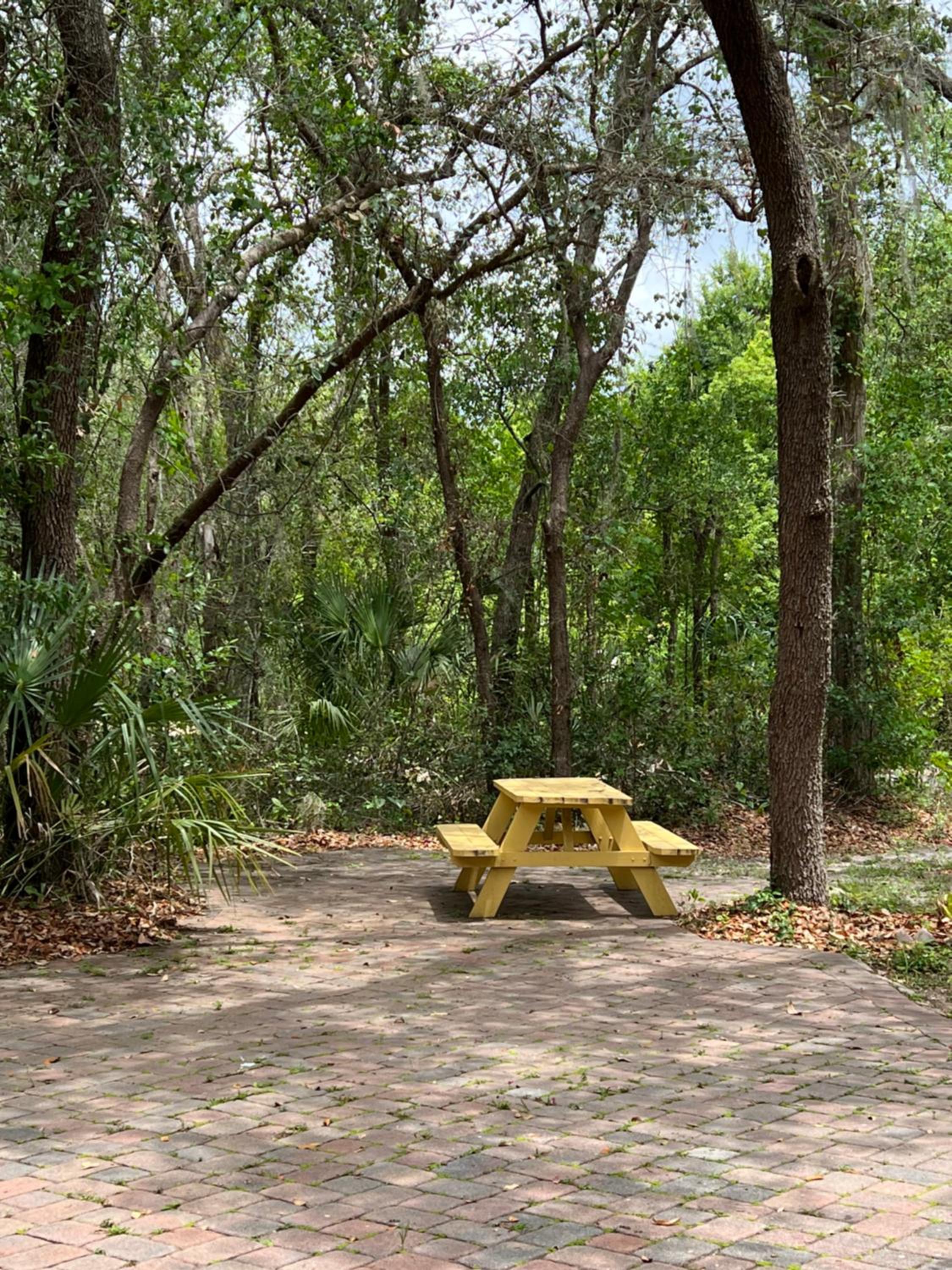 Spacious and relaxing Home - Longwood, Florida
