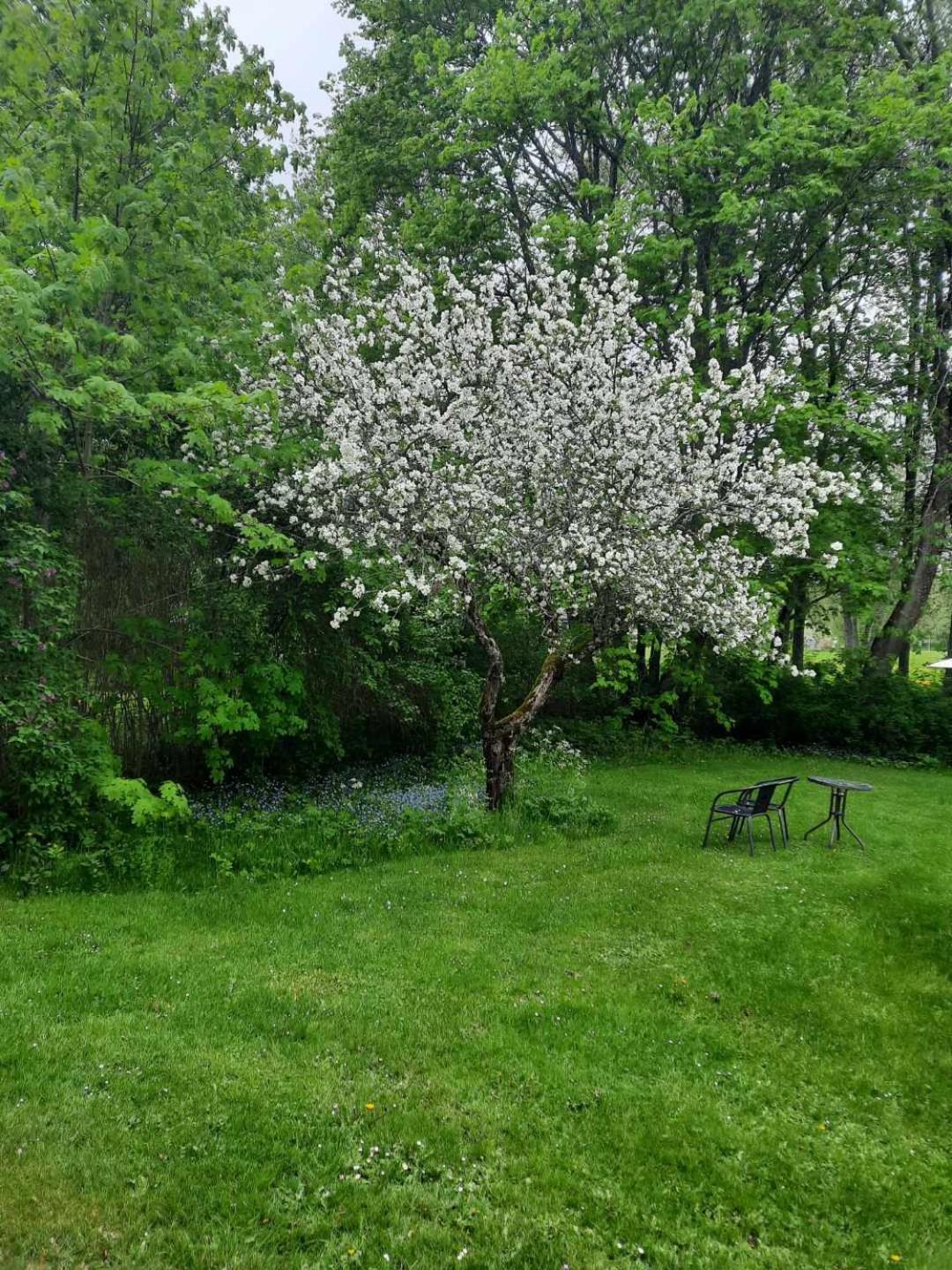 Photo 28