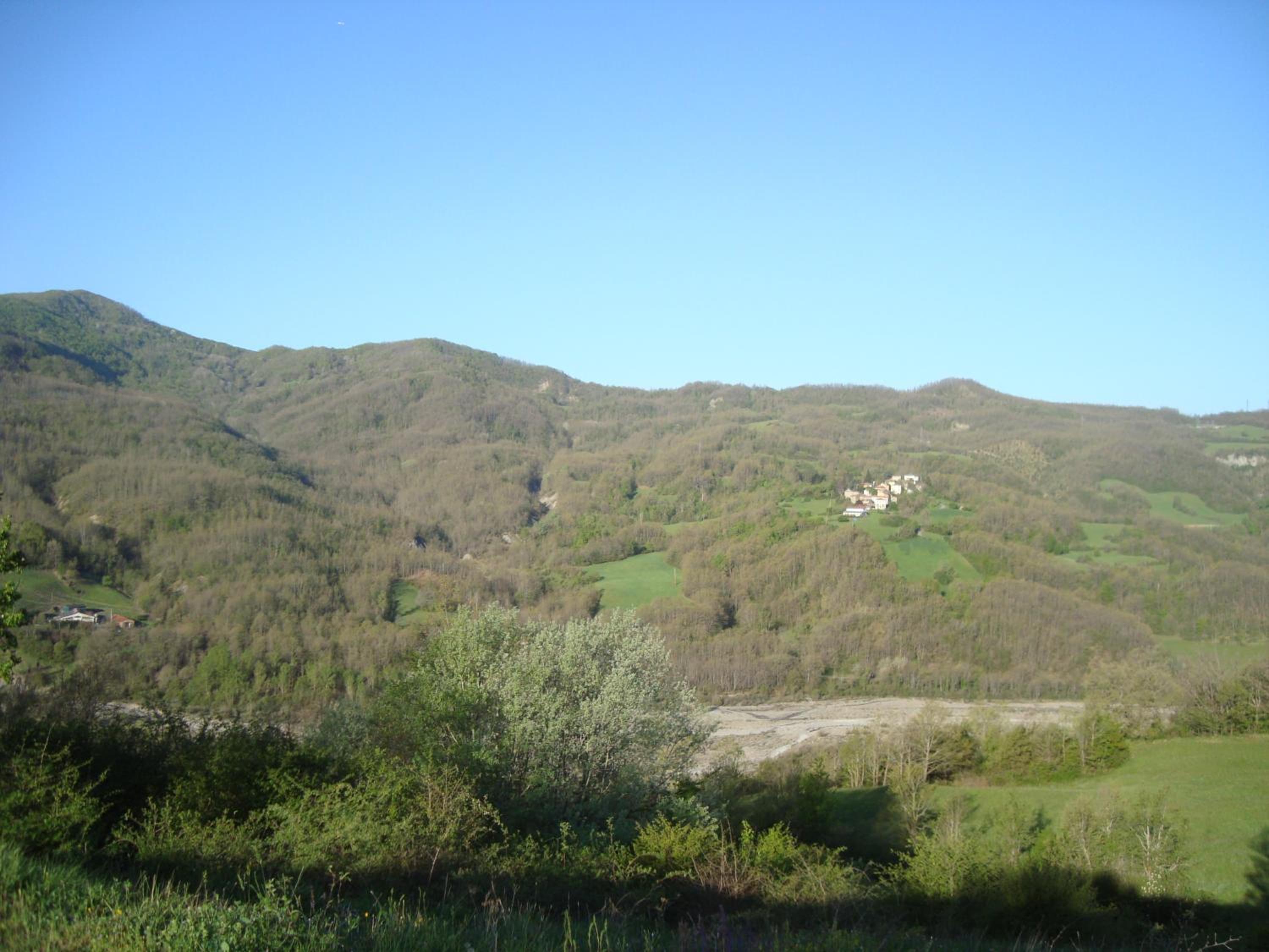 Photo 37