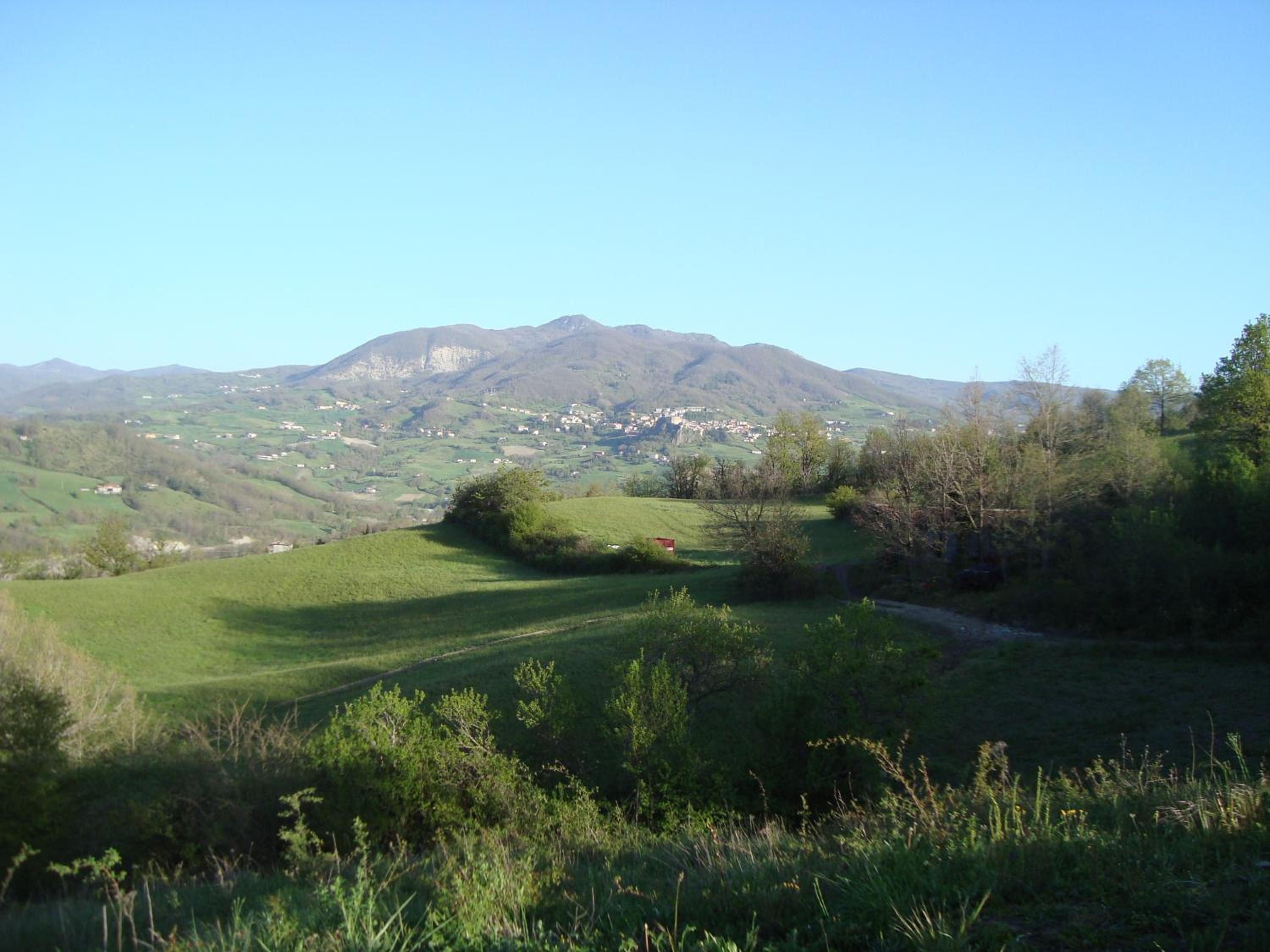 Photo 39
