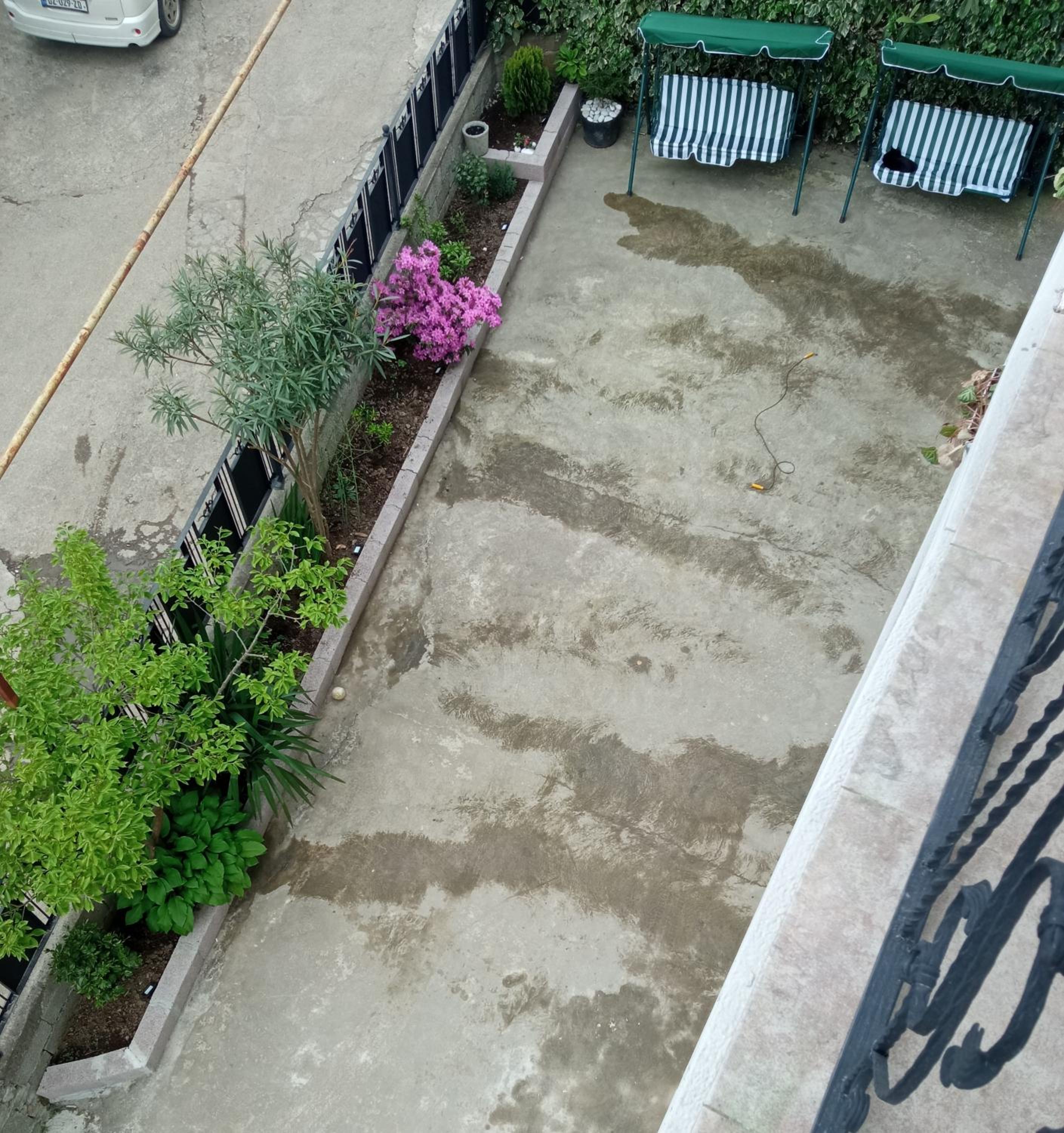 Guest house Junona