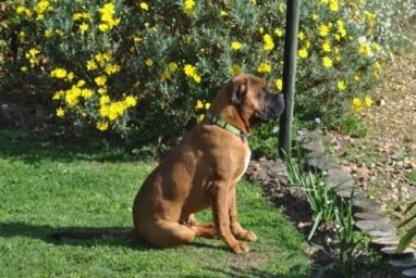Photo 44