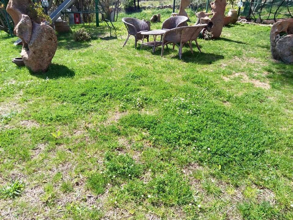 Photo 41