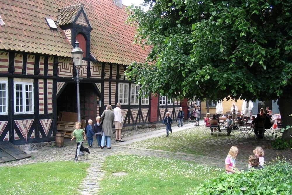 Photo 12