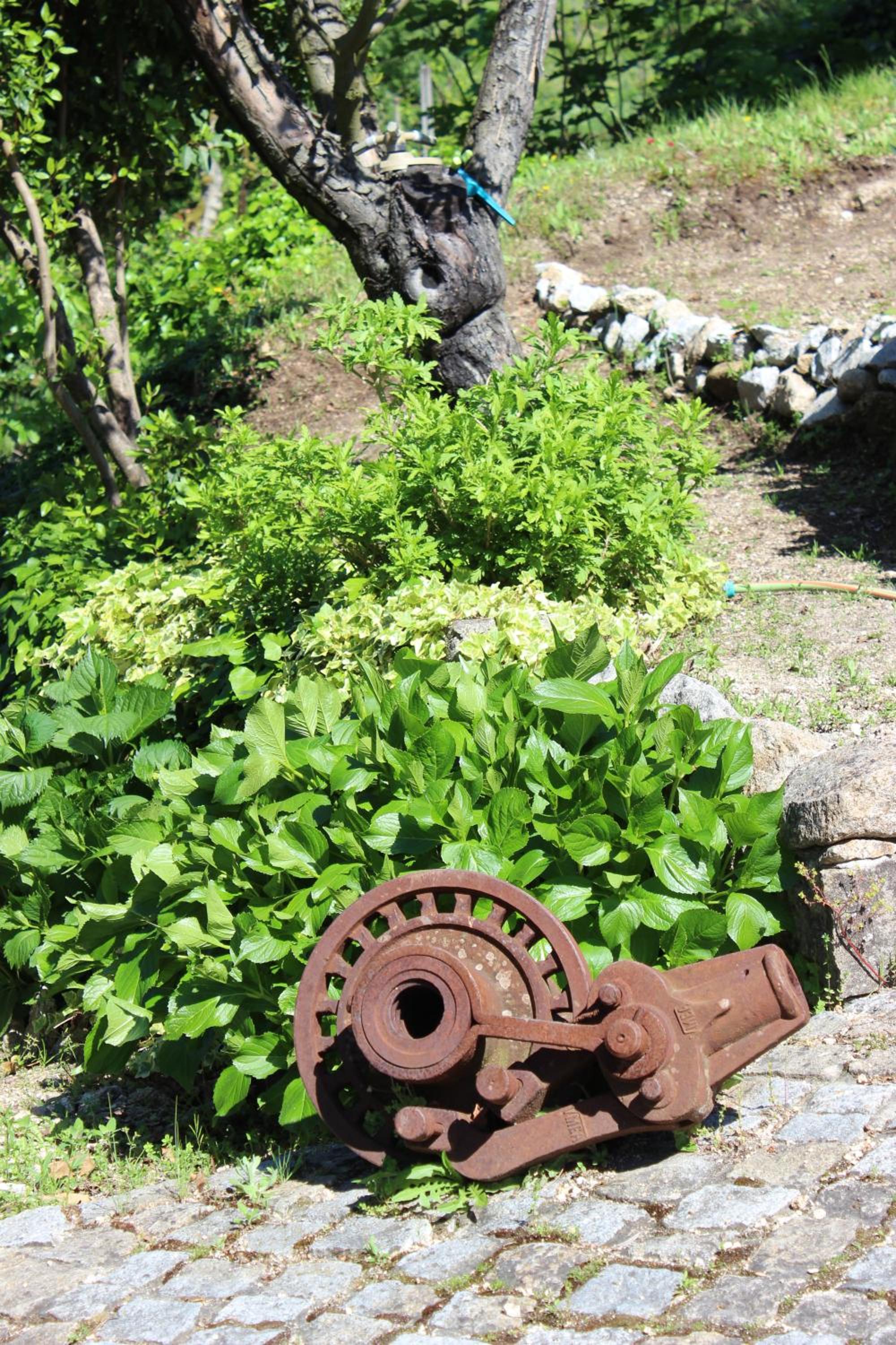 Photo 14