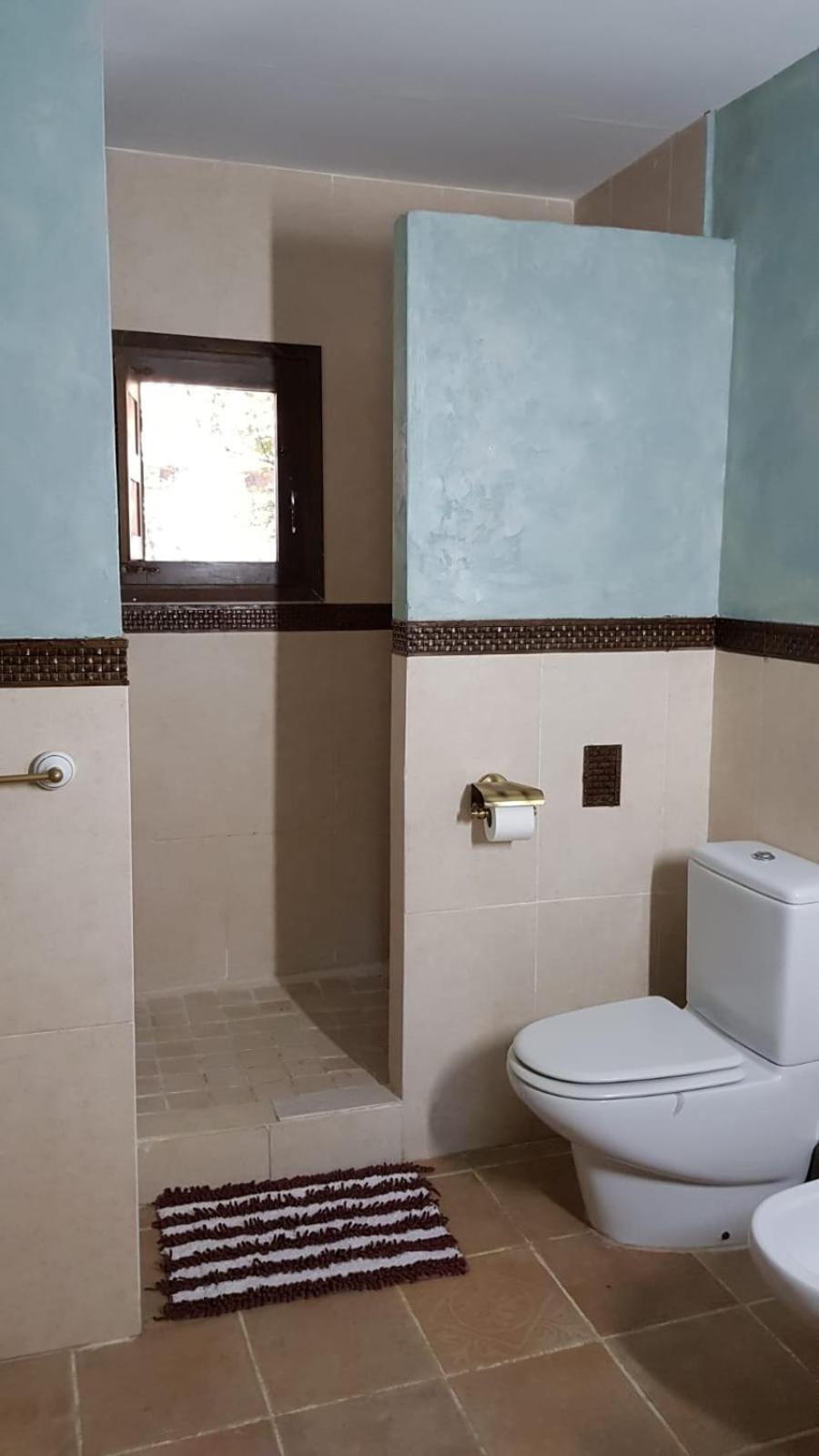 Acebos del Tajo