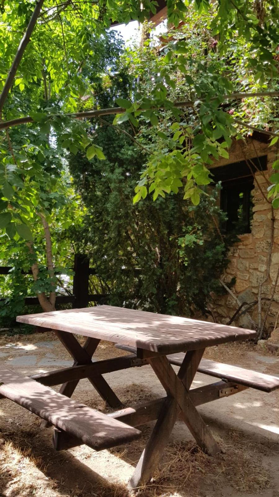 Acebos del Tajo