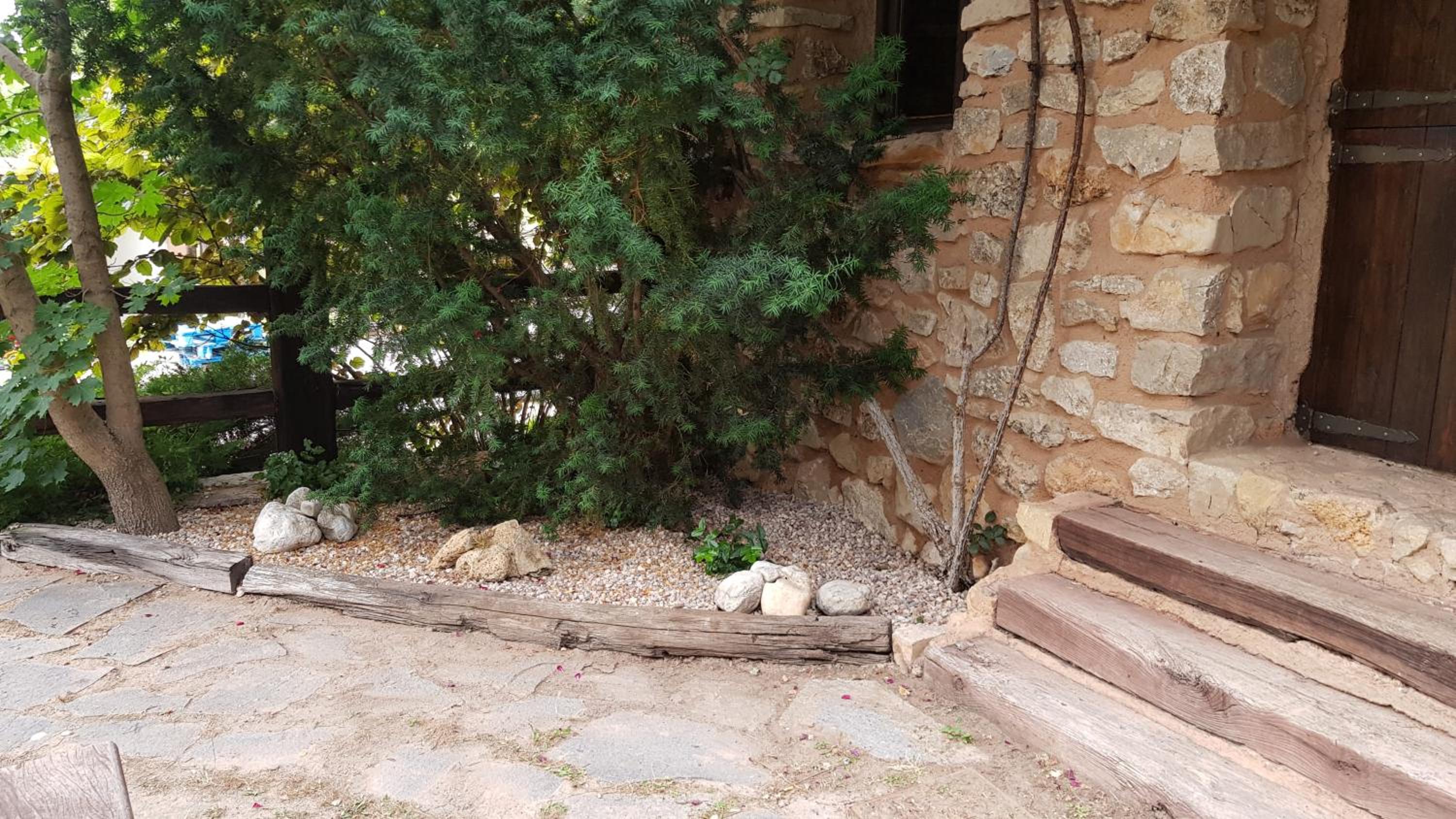Acebos del Tajo