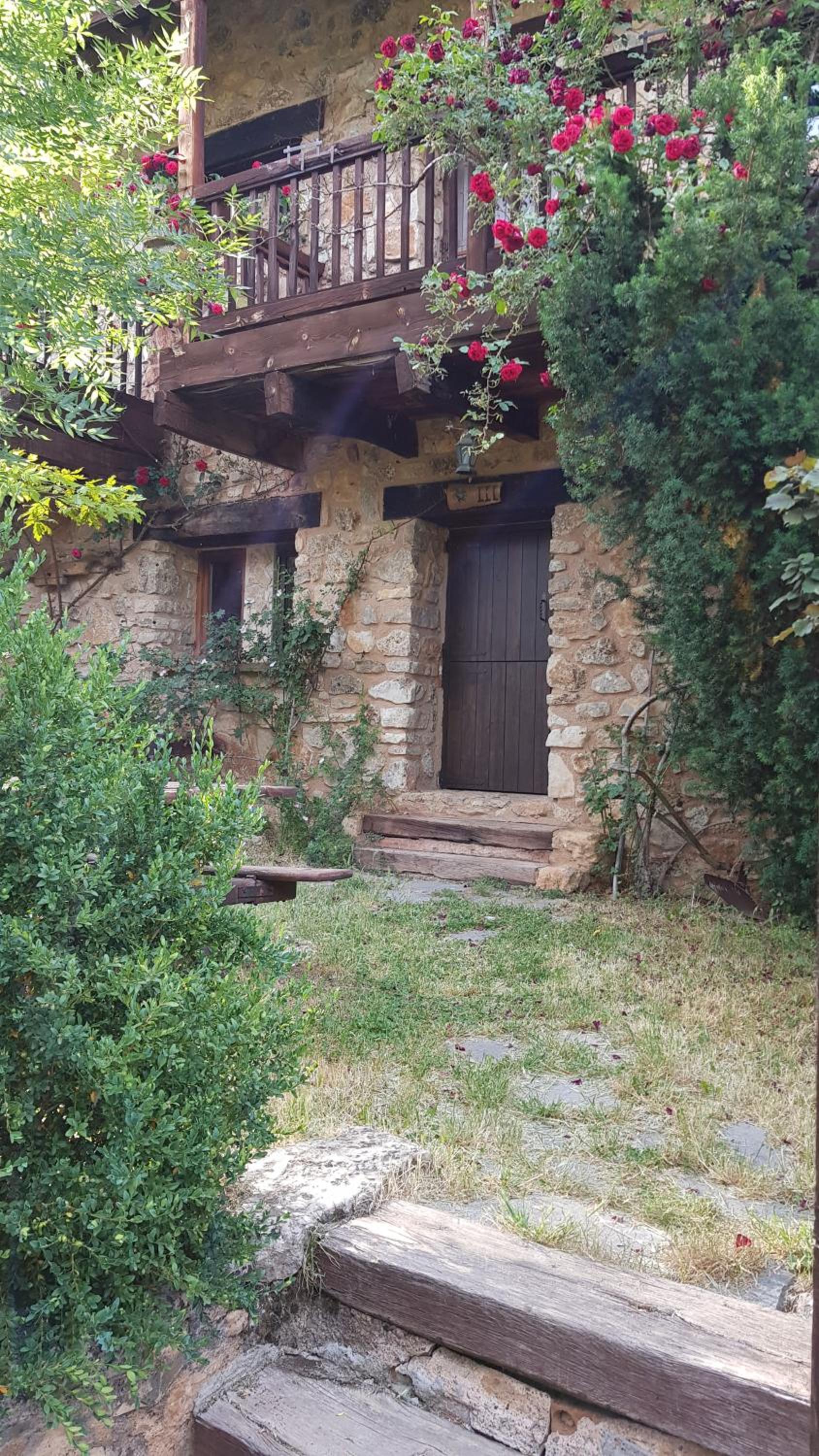 Acebos del Tajo