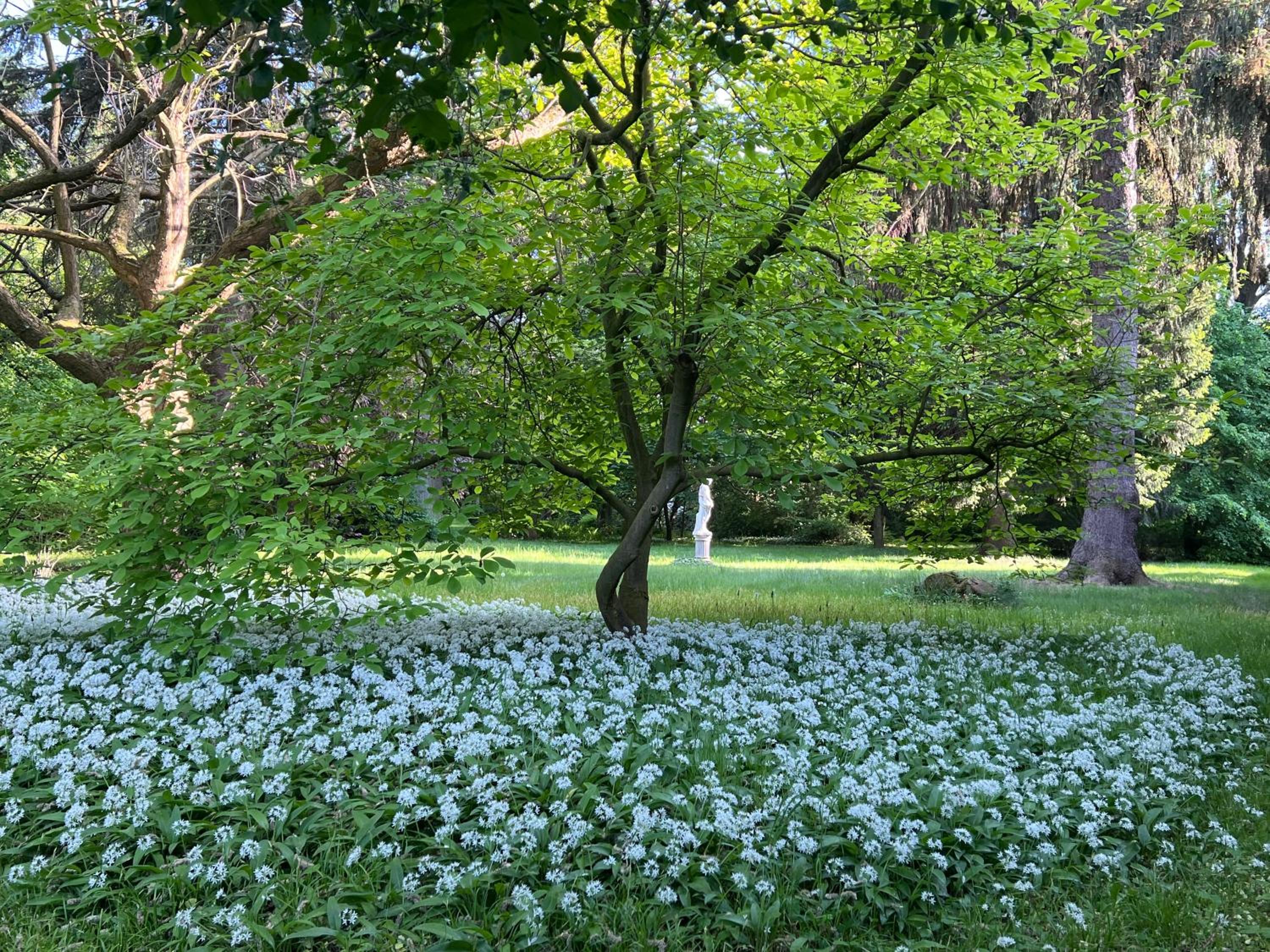 Park Villa Reichenbach