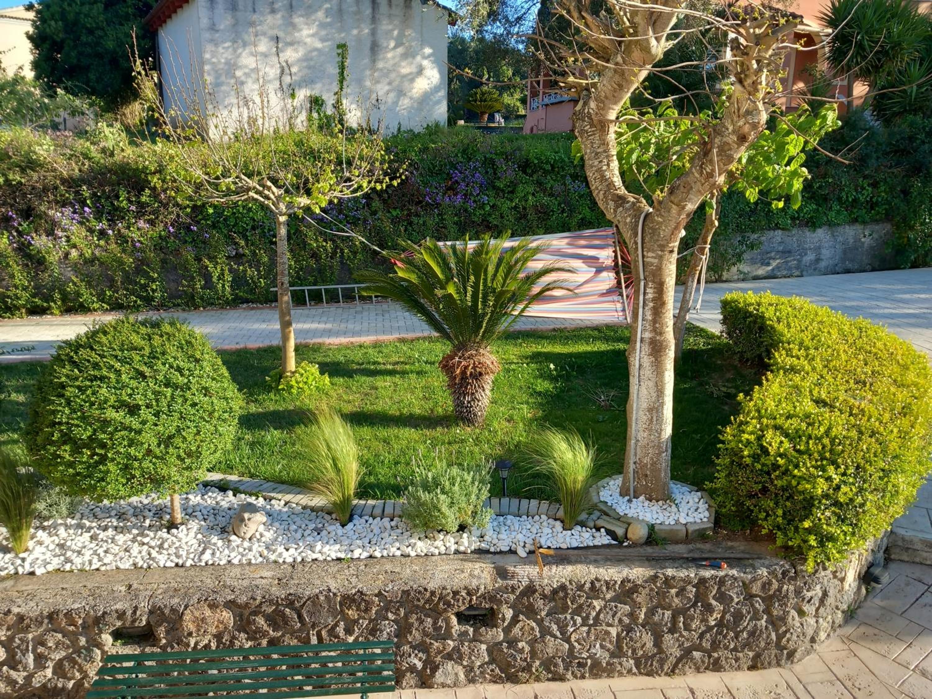 Photo 43