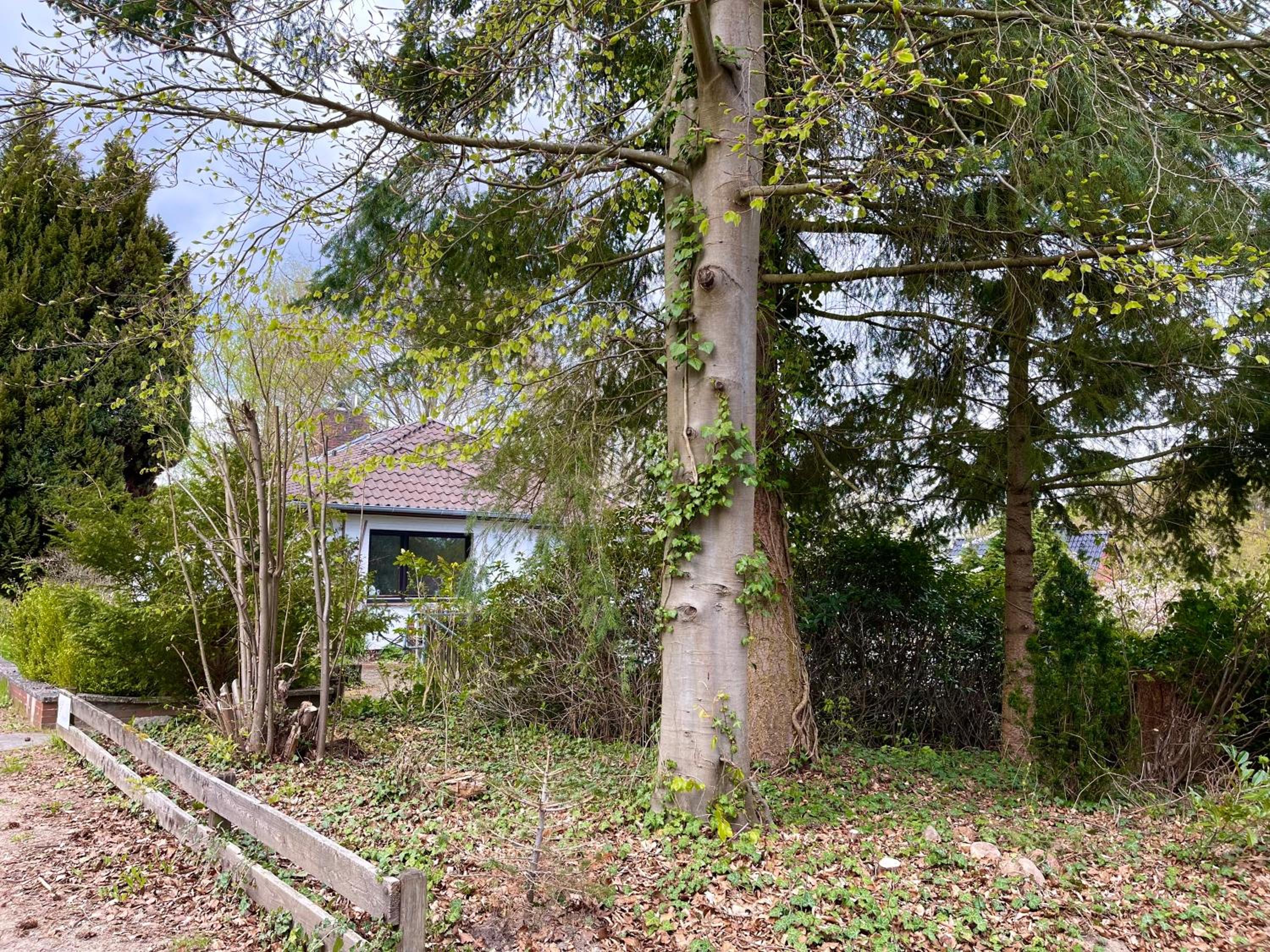 Ferienwohnung Hitzacker/Elbe