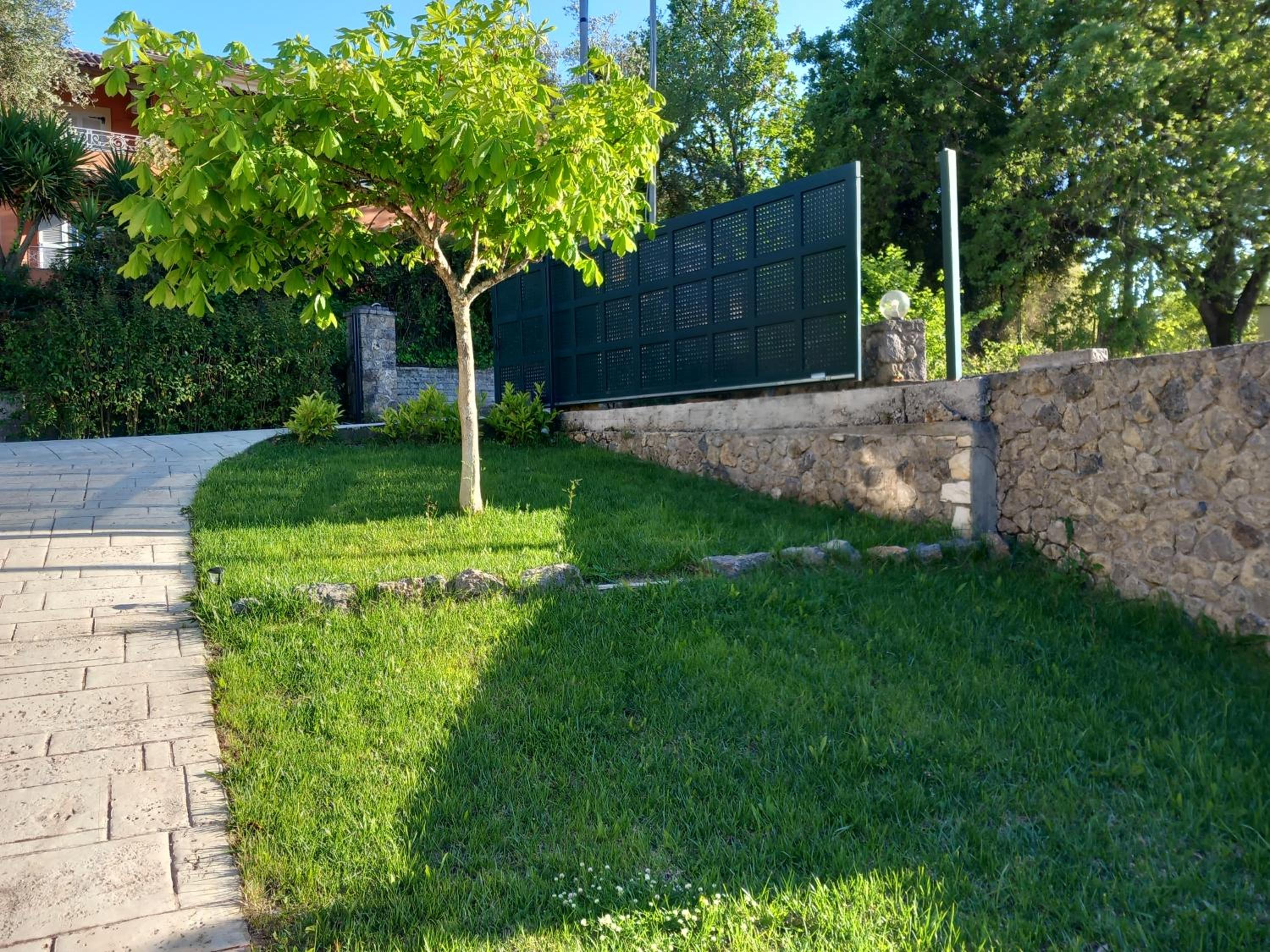 Photo 45