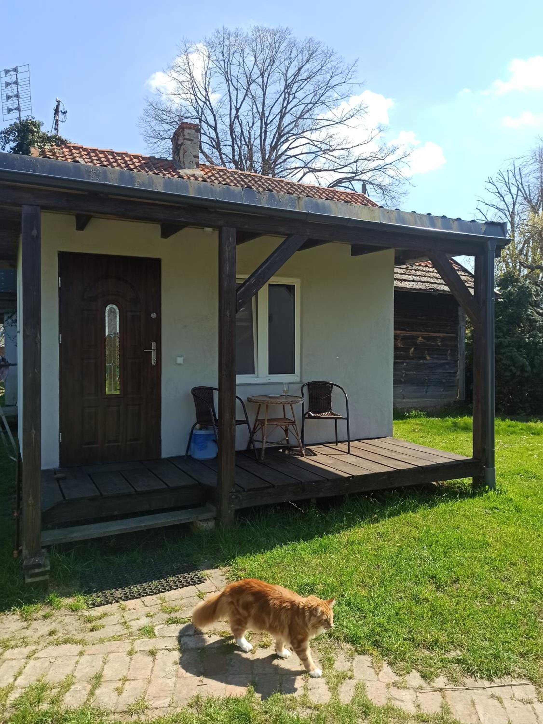 Photo 27