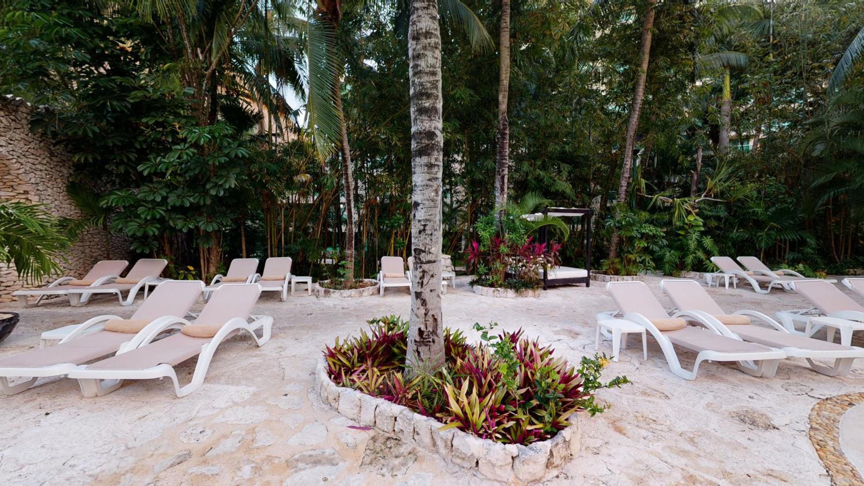 Grand Park Royal Cozumel - All Inclusive - Property Image 233